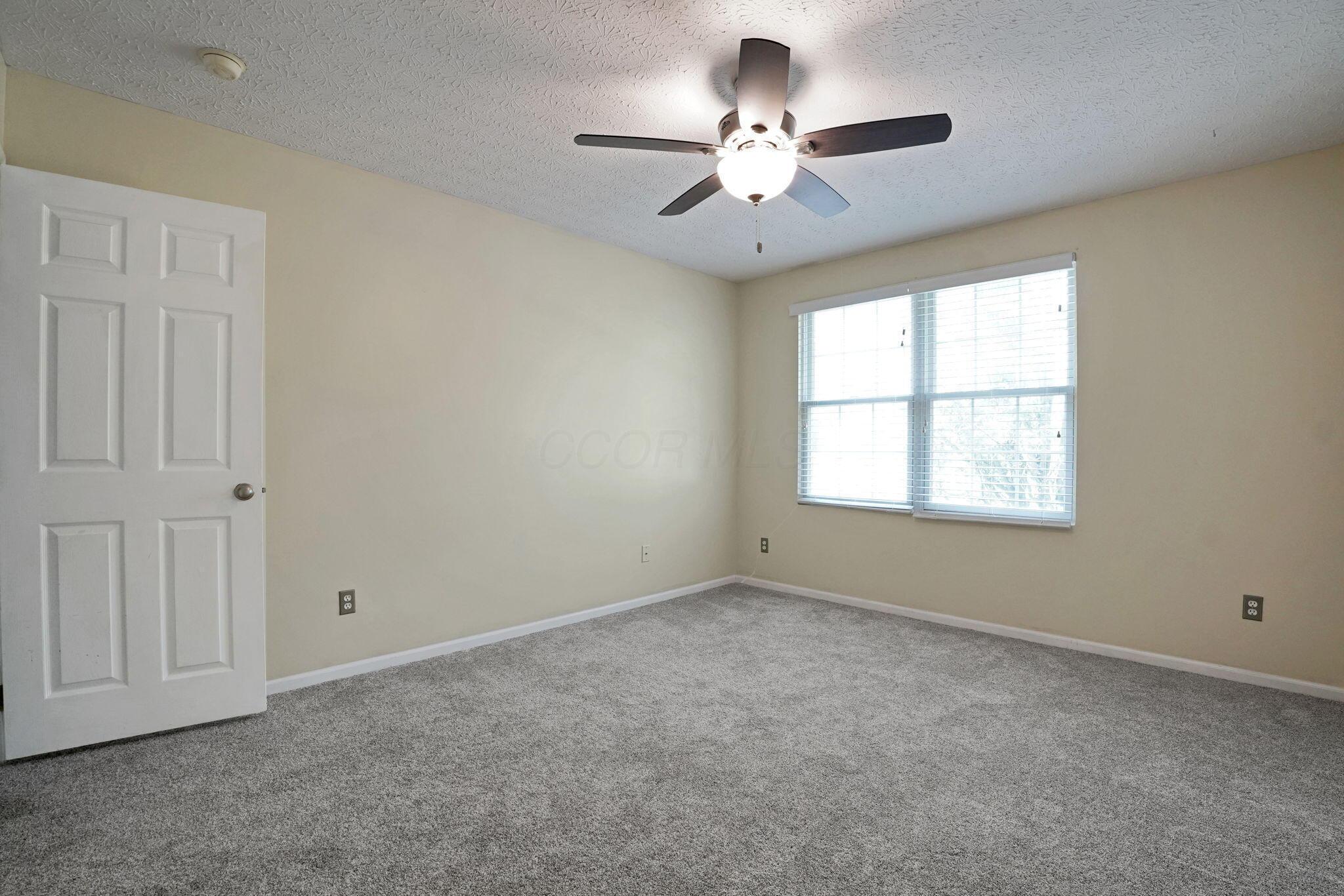 1386 Chickweed Street, 244