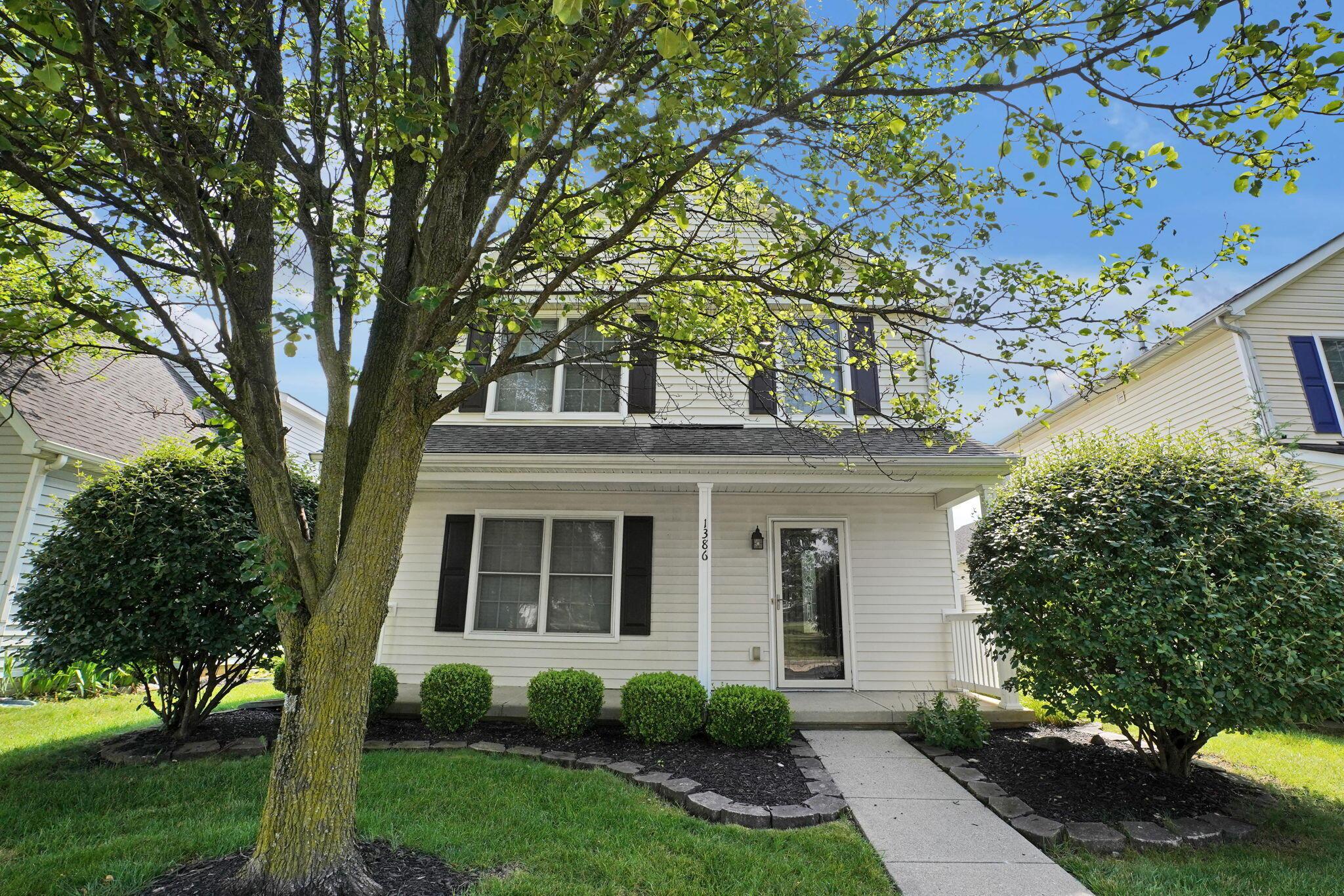 1386 Chickweed Street, 244