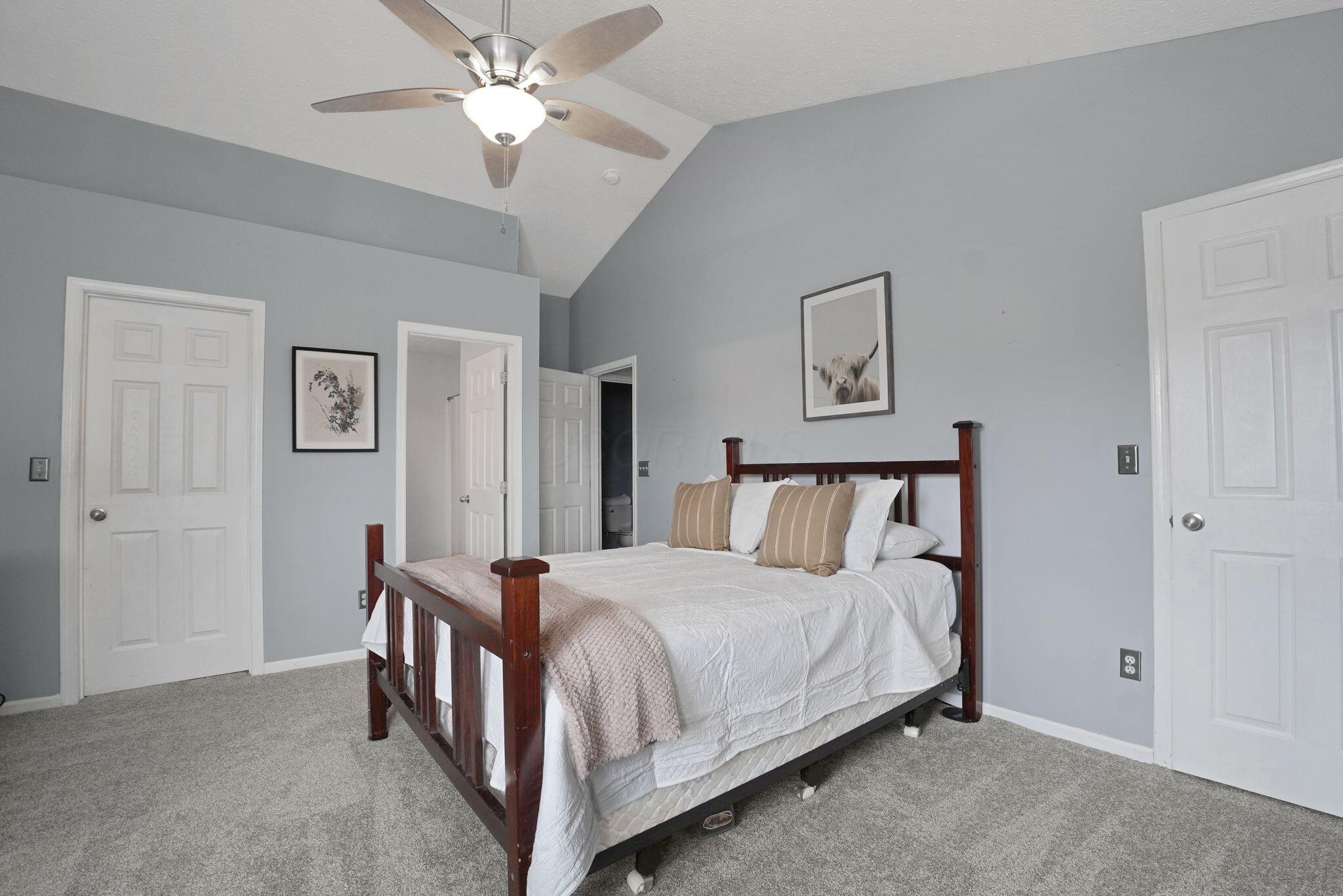 1386 Chickweed Street, 244