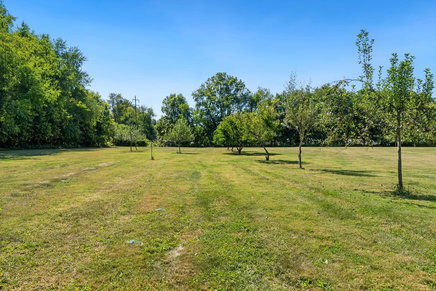 69 Mt Vernon Avenue