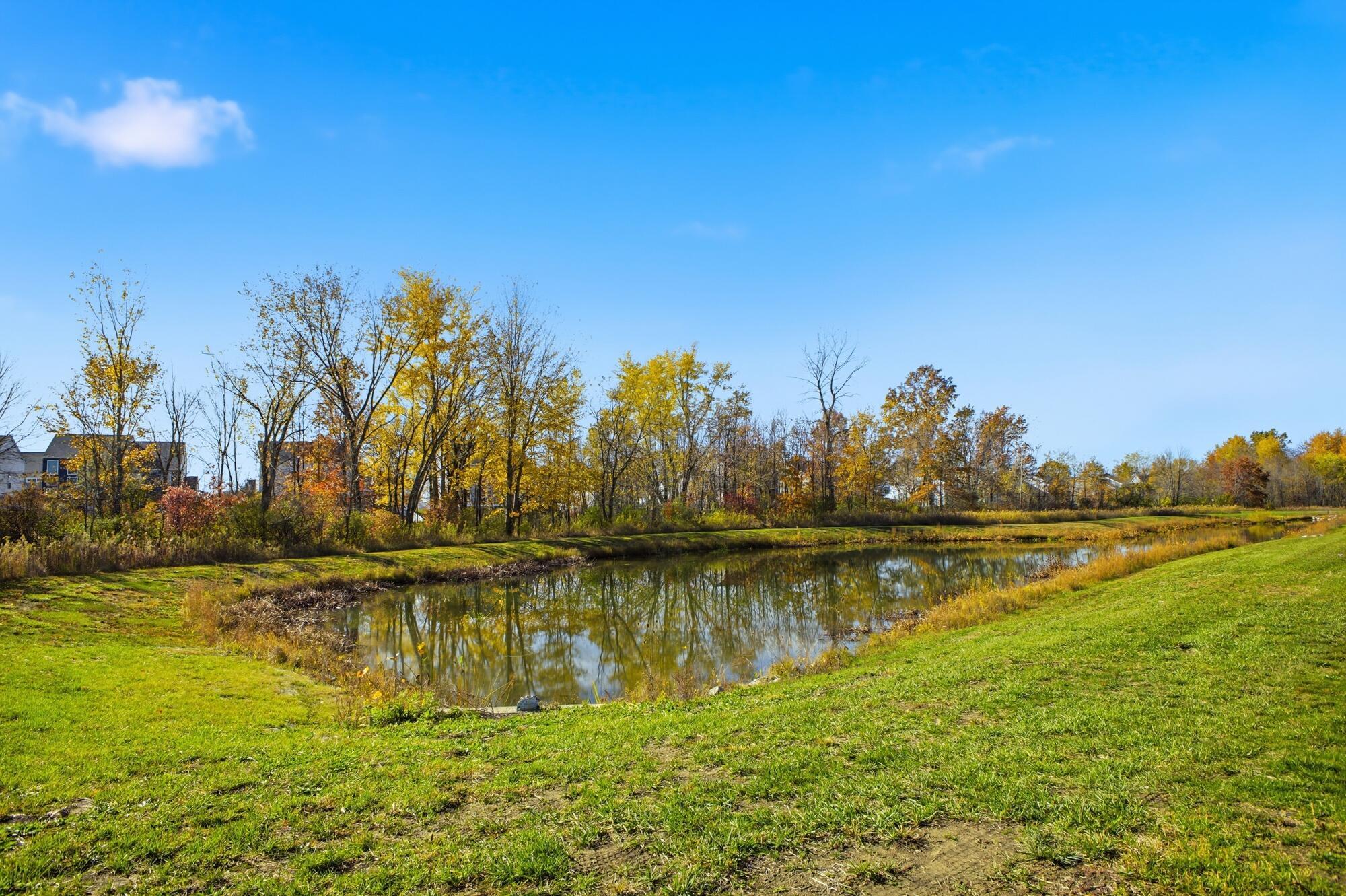 8197 Narrow Leaf Drive