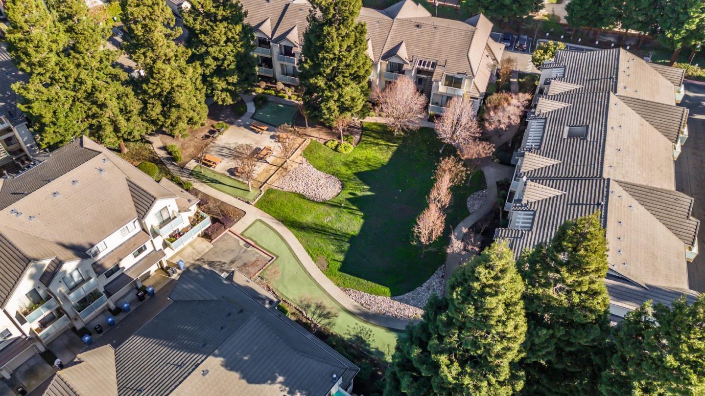 316 Borel LN