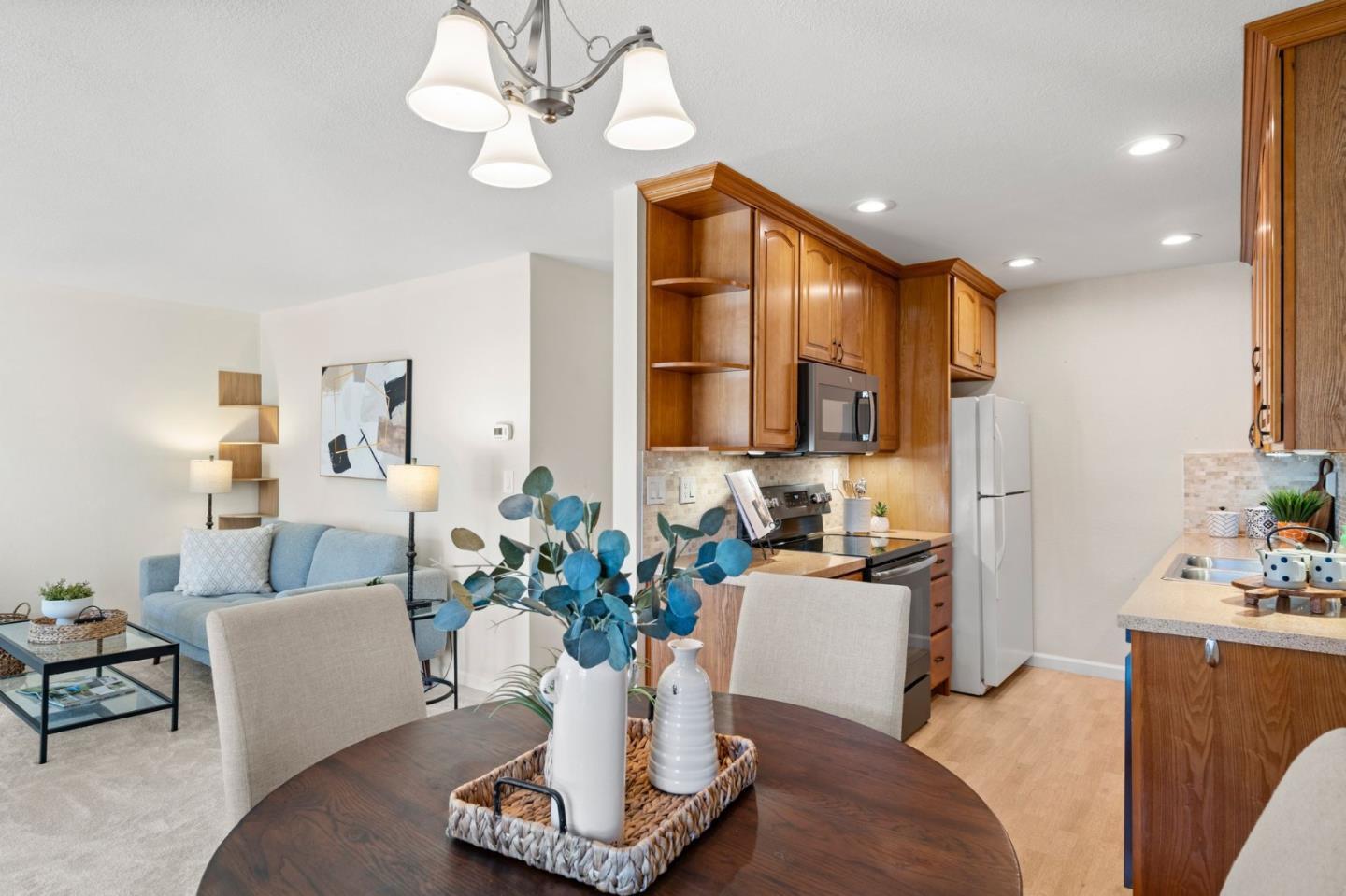 316 Borel LN