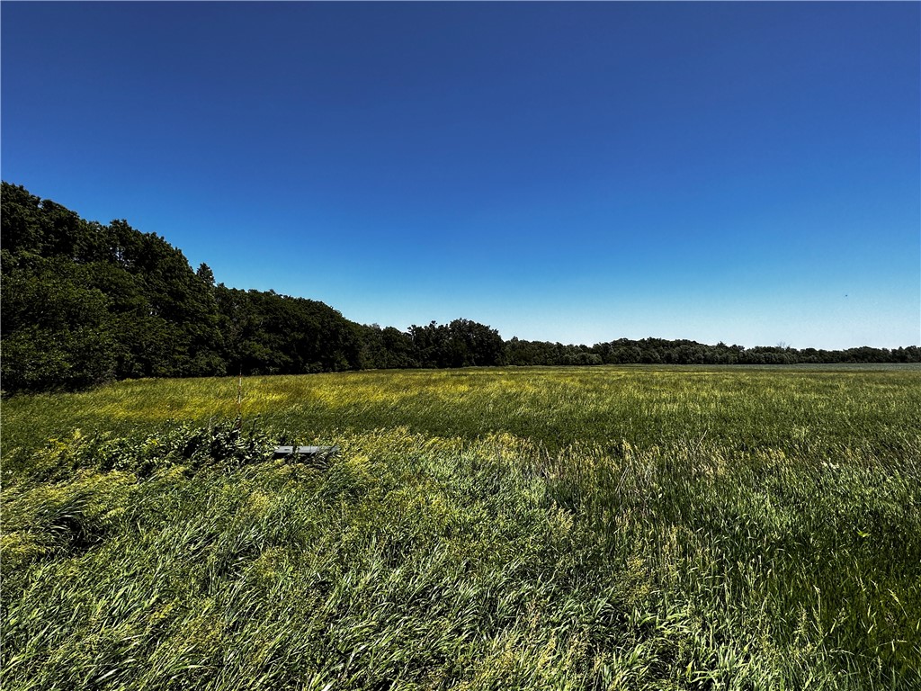 . Dawson Acres Plat 1 Road