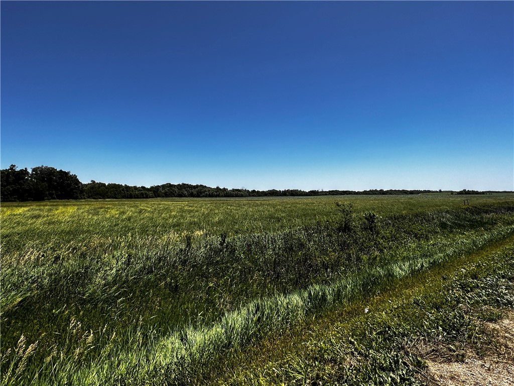 . Dawson Acres Plat 1 Road