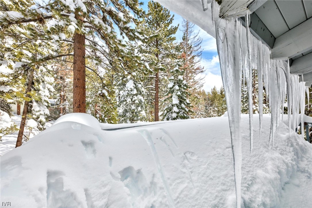 854 Lichen Court 6