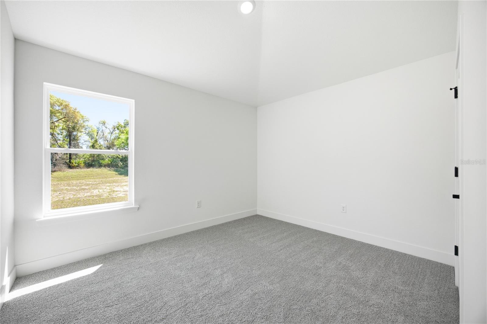 An empty bedroom with white walls and grey carpet