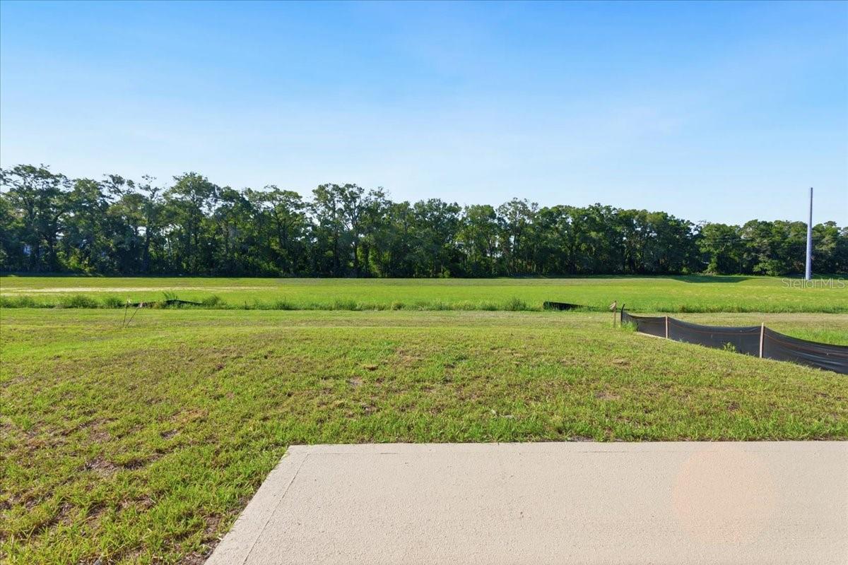 A wide view of a grassy lot with a tree line in the background and a concrete patio in the foreground.