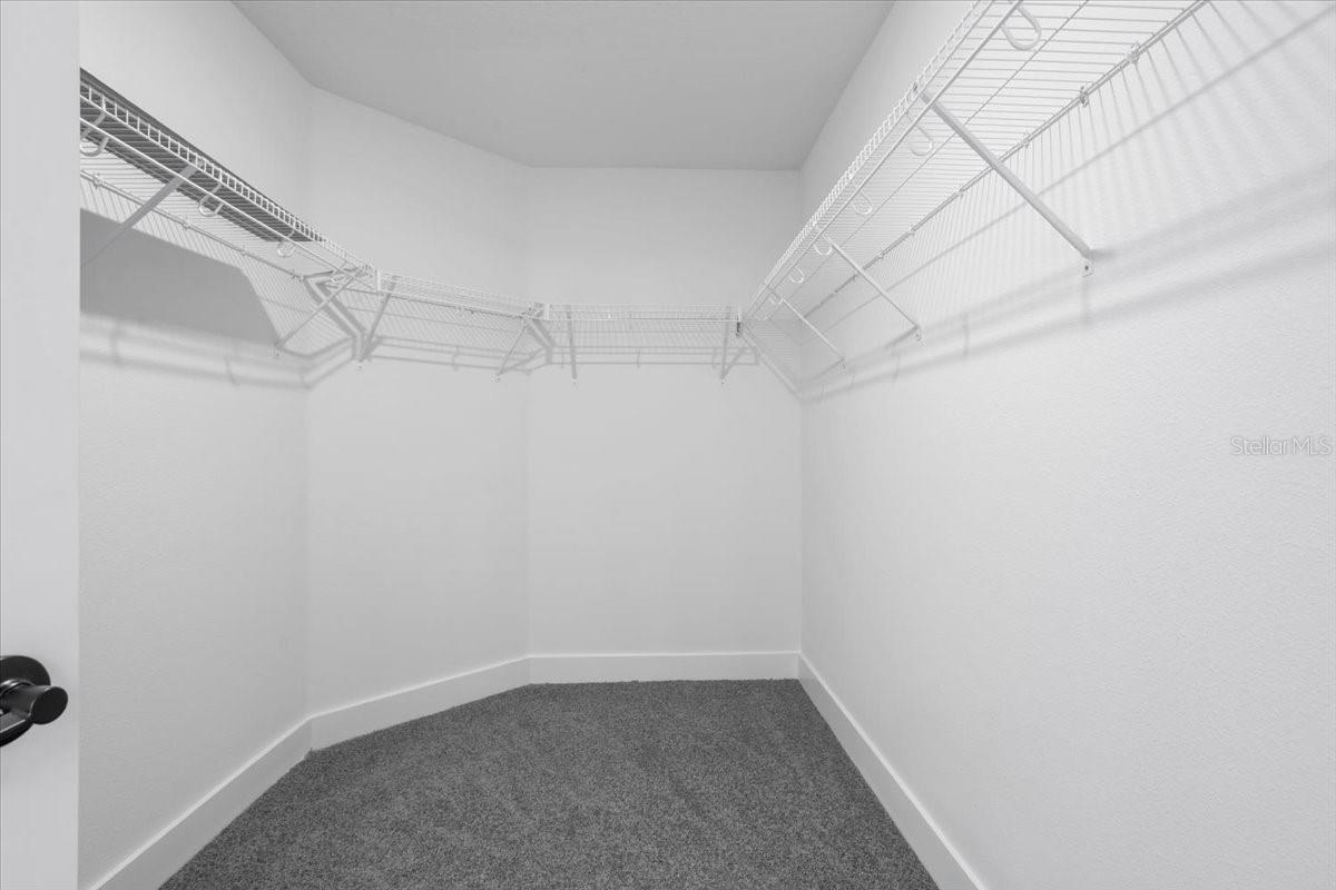 A walk-in closet featuring grey carpeting and white wire shelving on the walls.