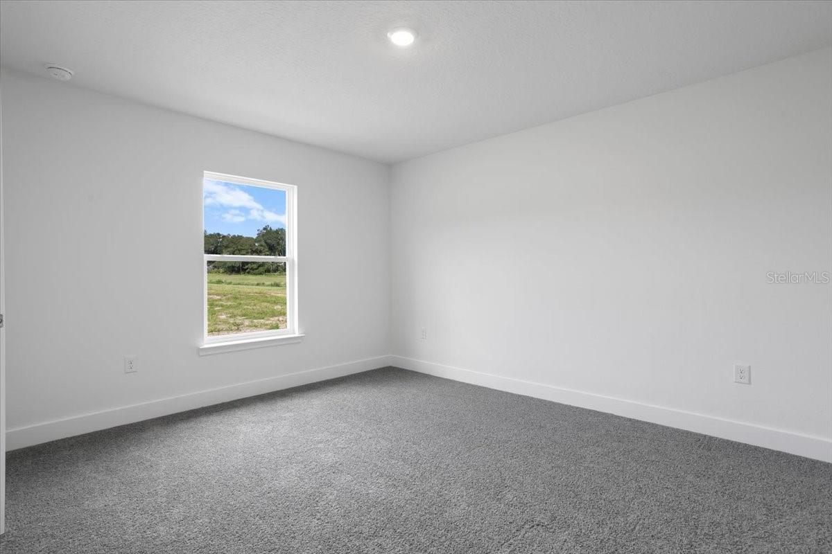 A vacant bedroom with grey carpet and white walls featuring a single window looking out at a grassy field.