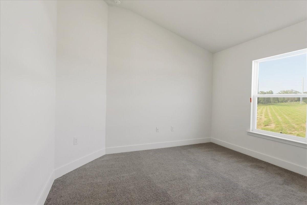 An empty bedroom with gray carpet, white walls, and a single window