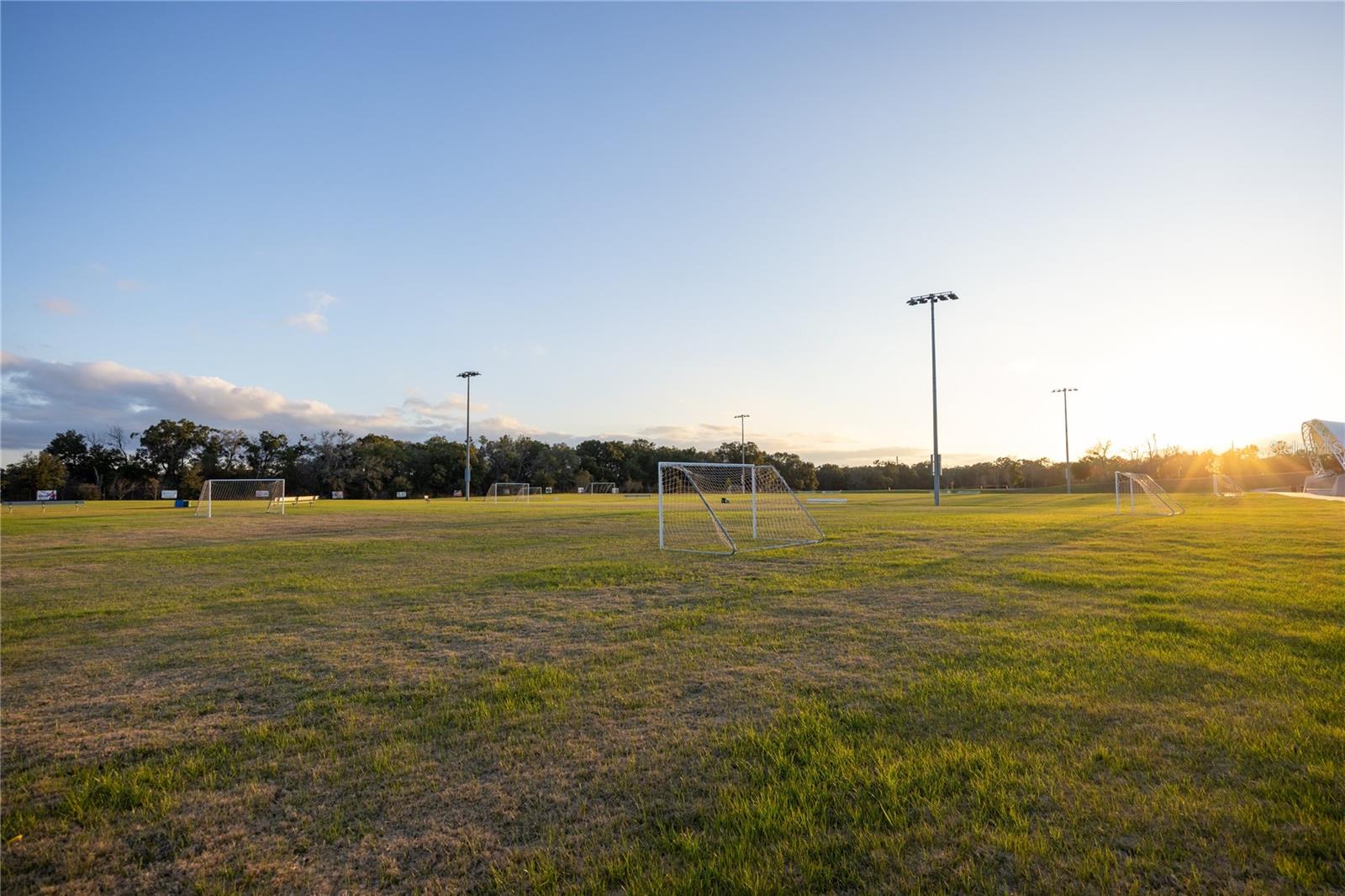 A grassy field with multiple soccer goals under a bright, sunny sky at what appears to be a community park or sports facility.
