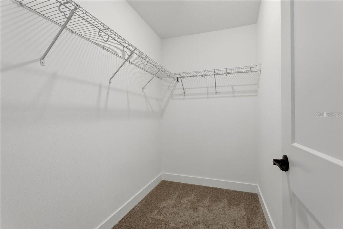 A walk-in closet featuring white walls, beige carpet, and white wire shelving on two sides.