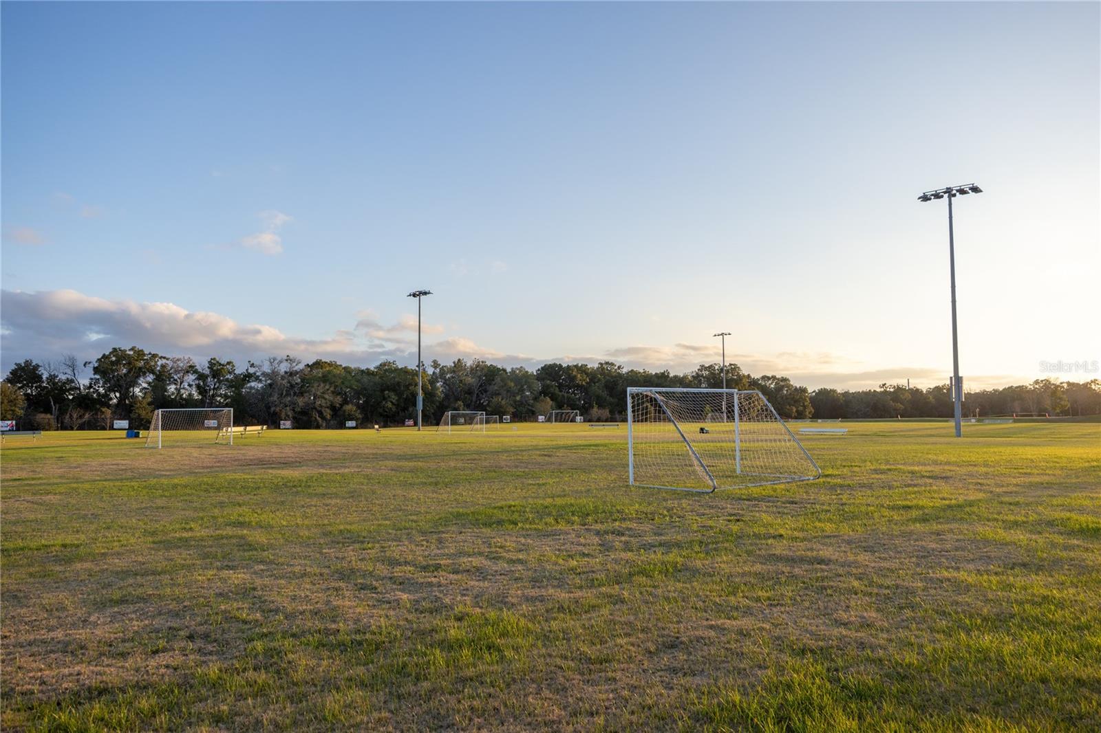 Community soccer field with multiple goals and light poles at sunset