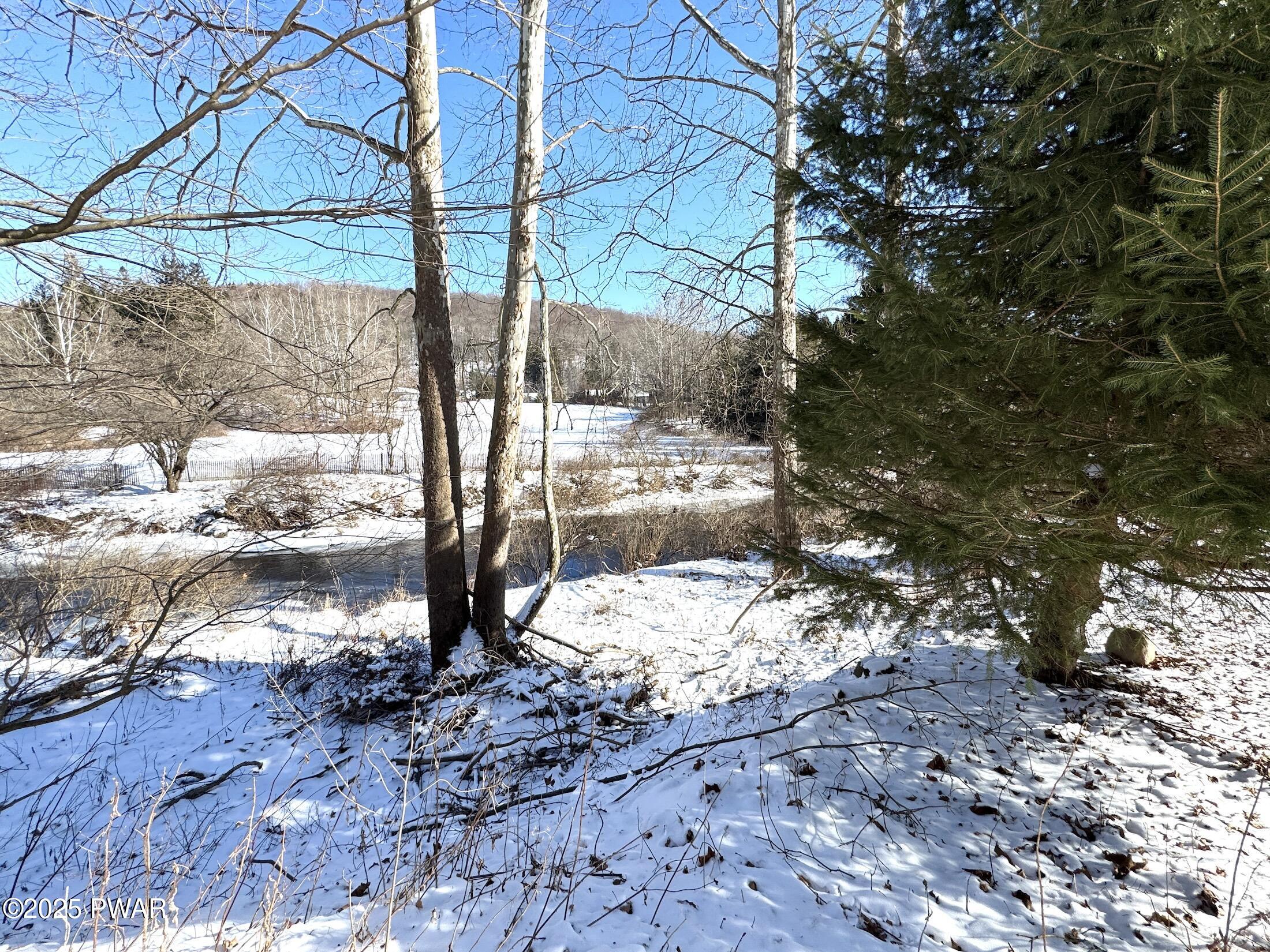 Snow-covered wooded yard with leafless trees, evergreens, and a creek or drainage area in the background.