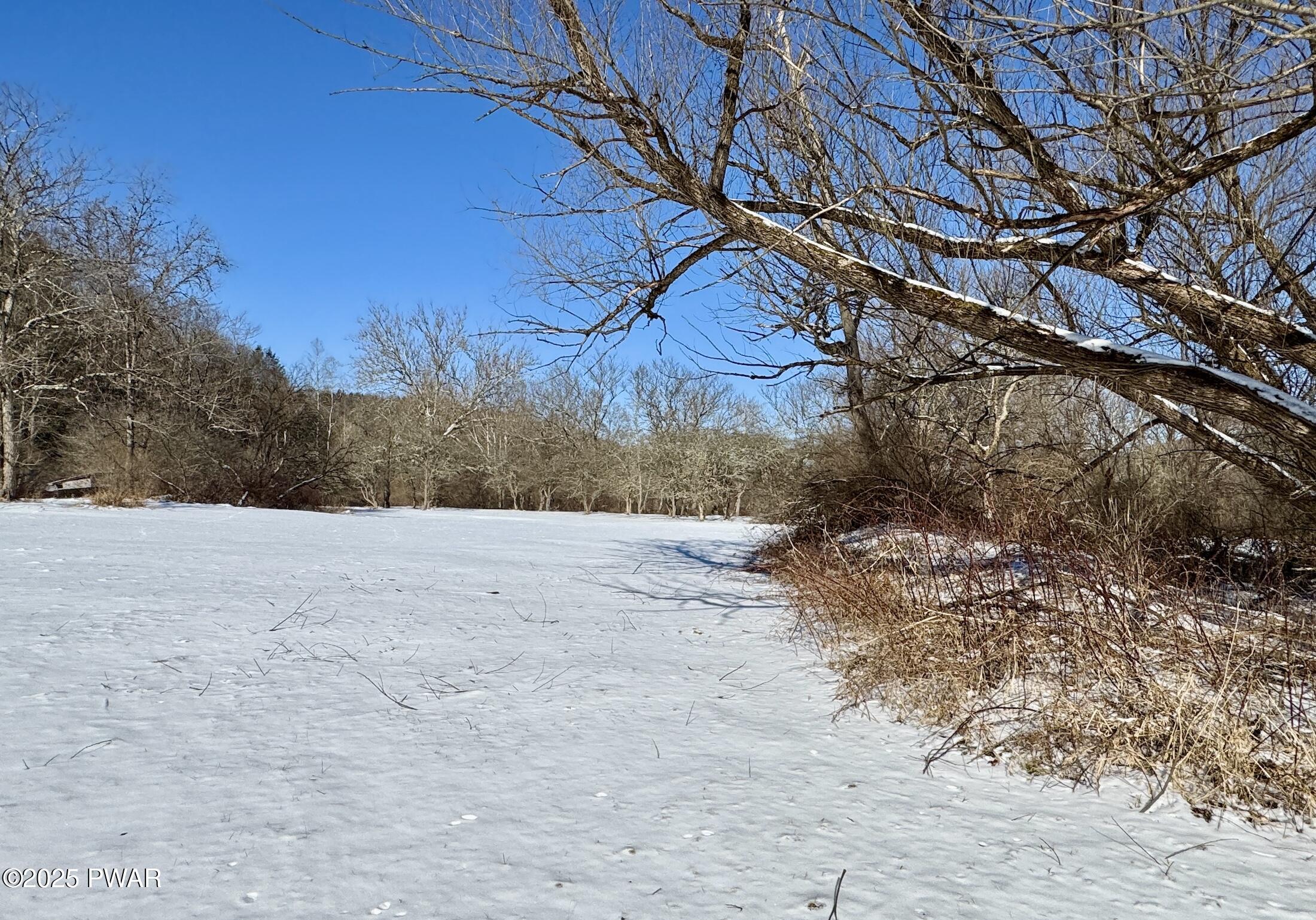 A snow-covered frozen pond or lake bordered by leafless trees under a clear blue sky.