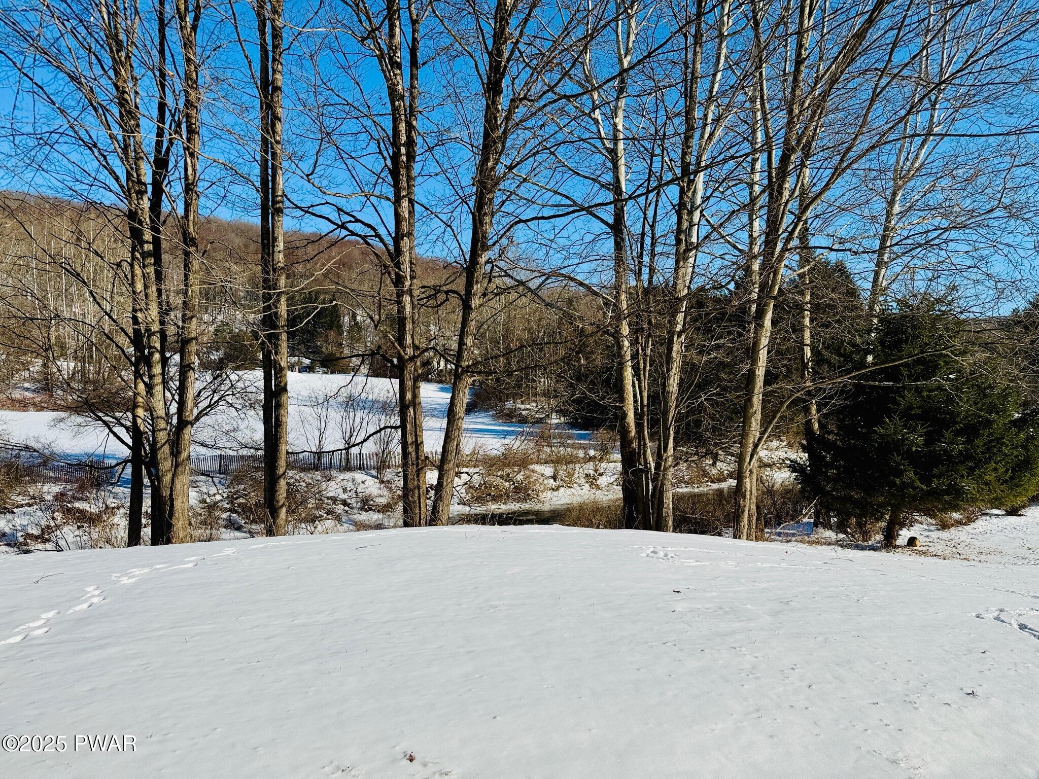 Snow-covered yard with leafless trees, a few evergreens, and hills in the background under a clear blue sky.