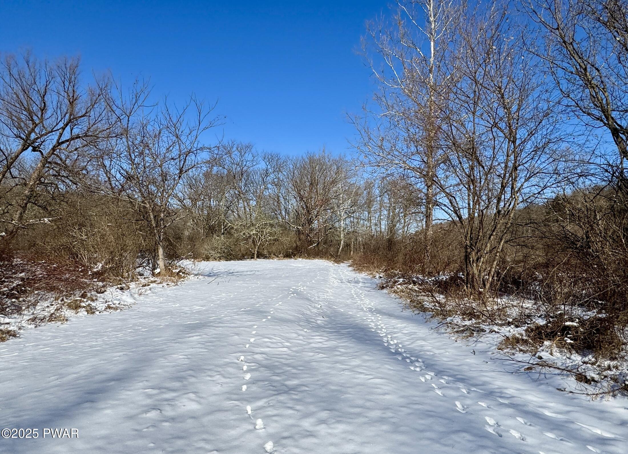 Snow-covered wooded lot with bare trees under a clear blue sky.