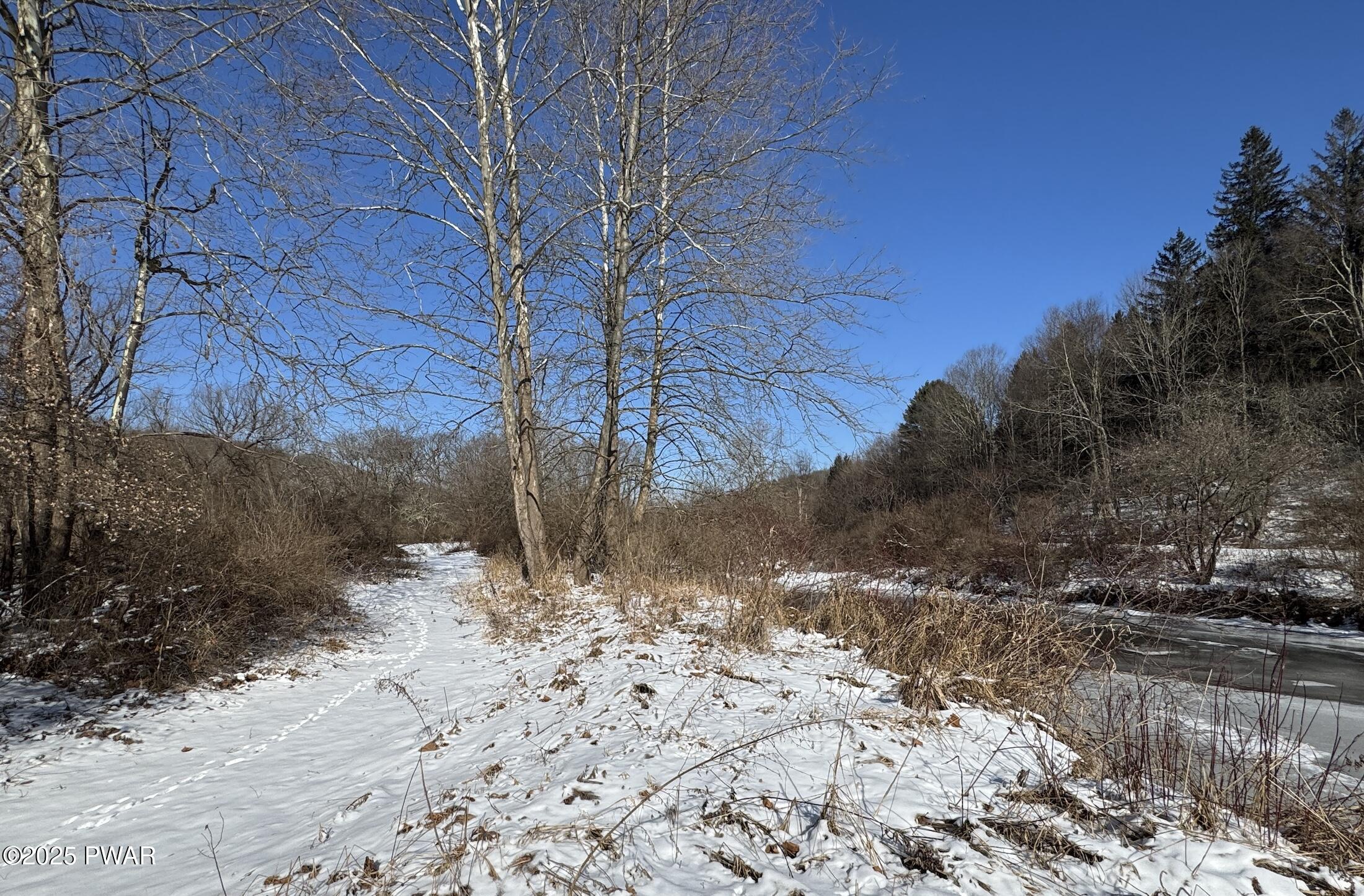 Snow-covered wooded land with leafless trees, brush, and a frozen or partially frozen stream under a clear blue sky.