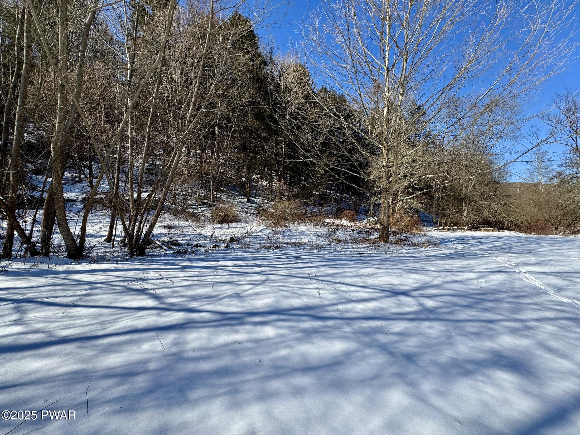 Snow-covered wooded lot with leafless trees under a clear blue sky.