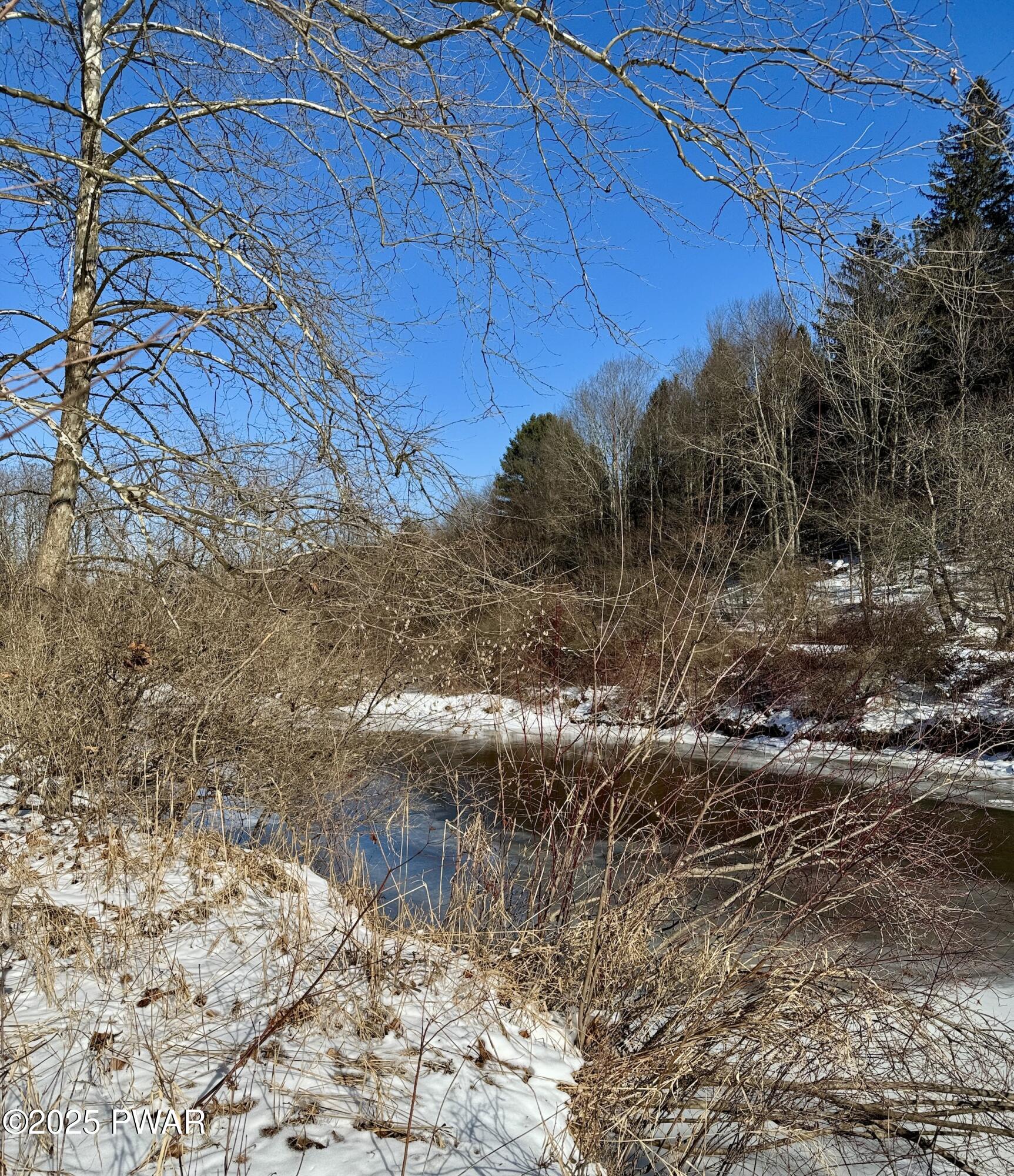 Wooded lot with leafless trees, brush, snow patches, and a small stream under a clear blue sky.