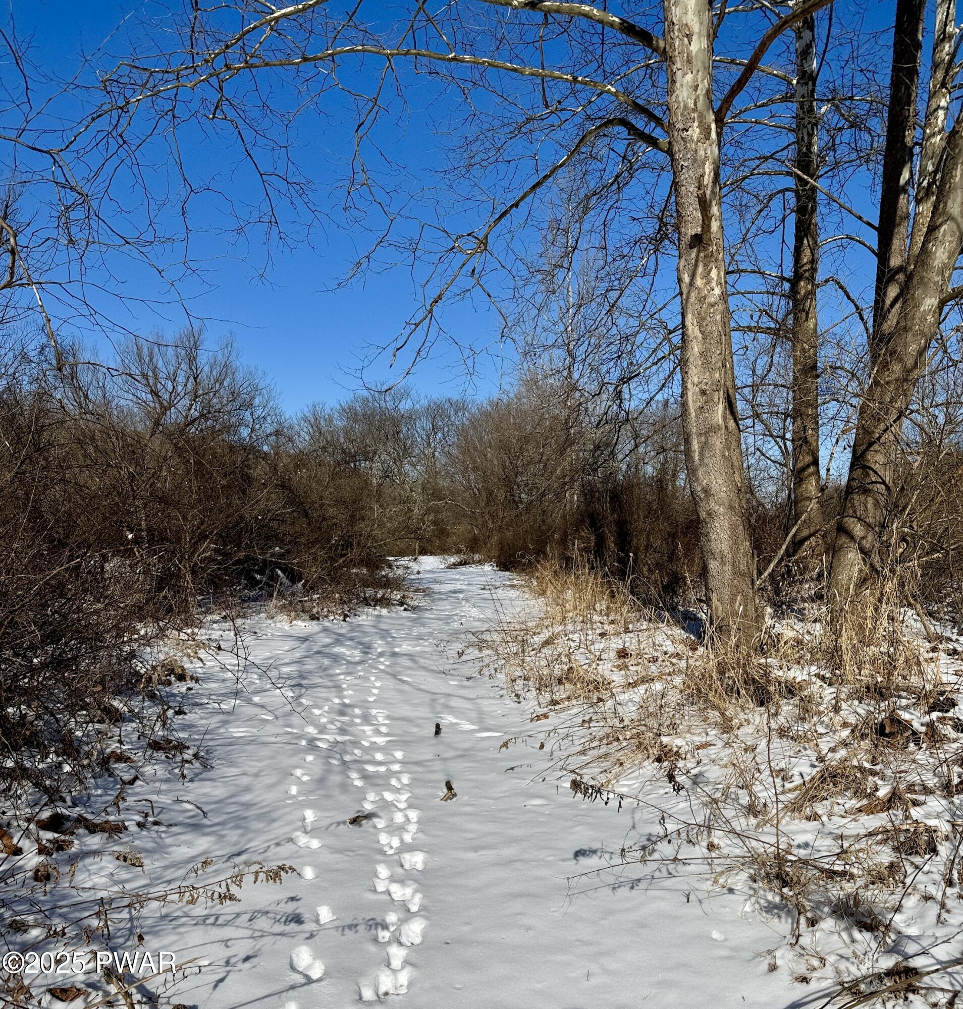 A snowy wooded path with footprints running through leafless trees under a clear blue sky.