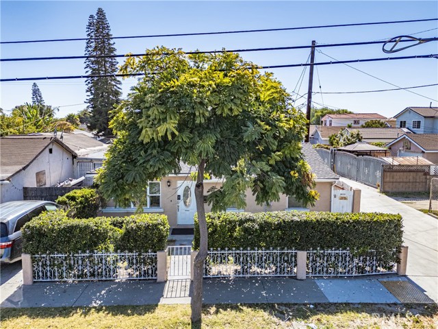 A front exterior view of a single-story house partially blocked by a large tree and a hedge with a metal fence.