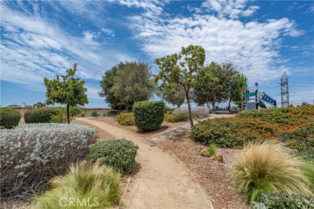 A dirt walking path winds through a landscaped park area with shrubs, ornamental grasses, and trees under a blue sky.