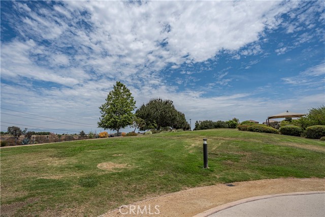 A wide shot of a grassy hill in a community common area with a blue sky.