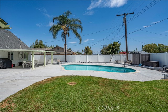 A backyard featuring an in-ground swimming pool, a concrete patio area, a patch of green lawn, a palm tree, and a white privacy fence against a blue sky.