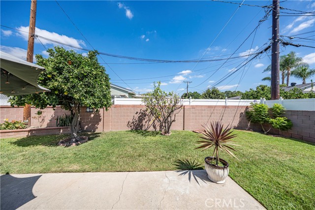 A view of the backyard showing a grassy lawn, fruit tree, potted plant, and concrete patio against a cinder block wall.