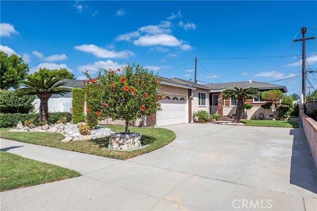 Single story home with concrete driveway, palm trees, and a red flowering bush in front of a white garage door.