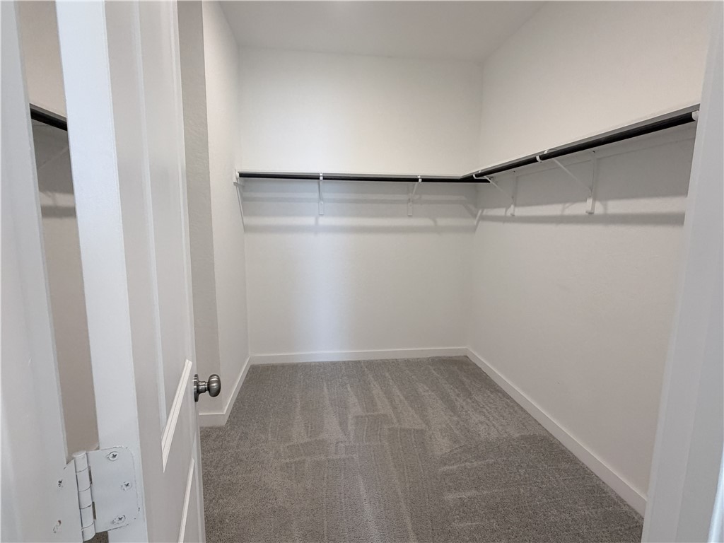 Walk-in closet with gray carpet and wraparound hanging rods.