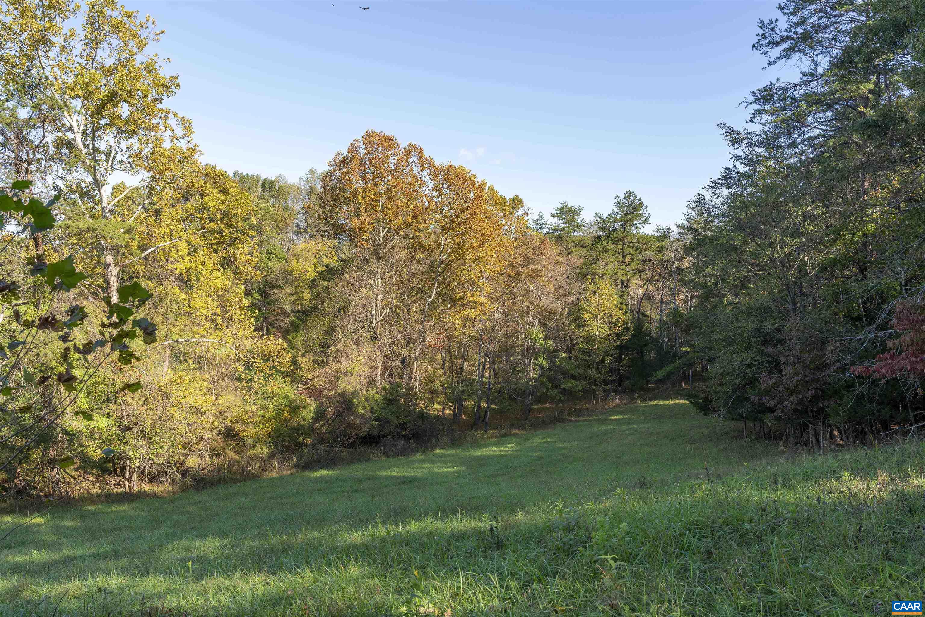 TBD BUCK MOUNTAIN FORD LN