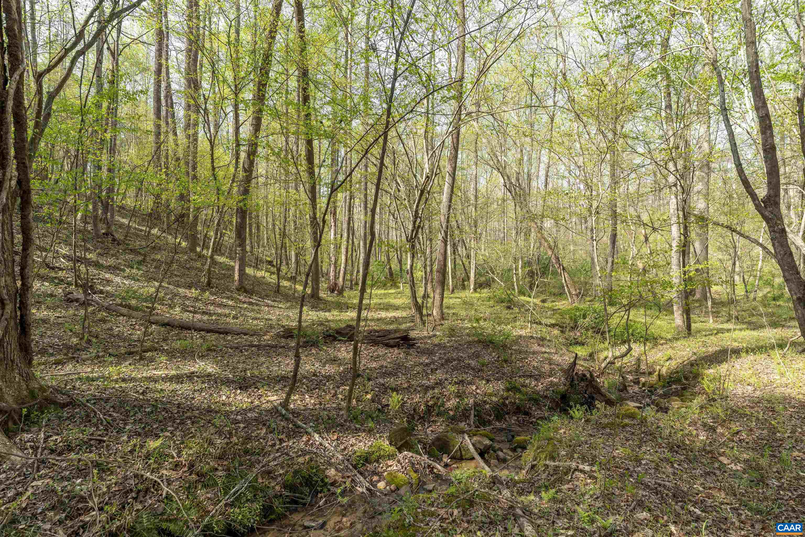 TBD BLACK HILL RD