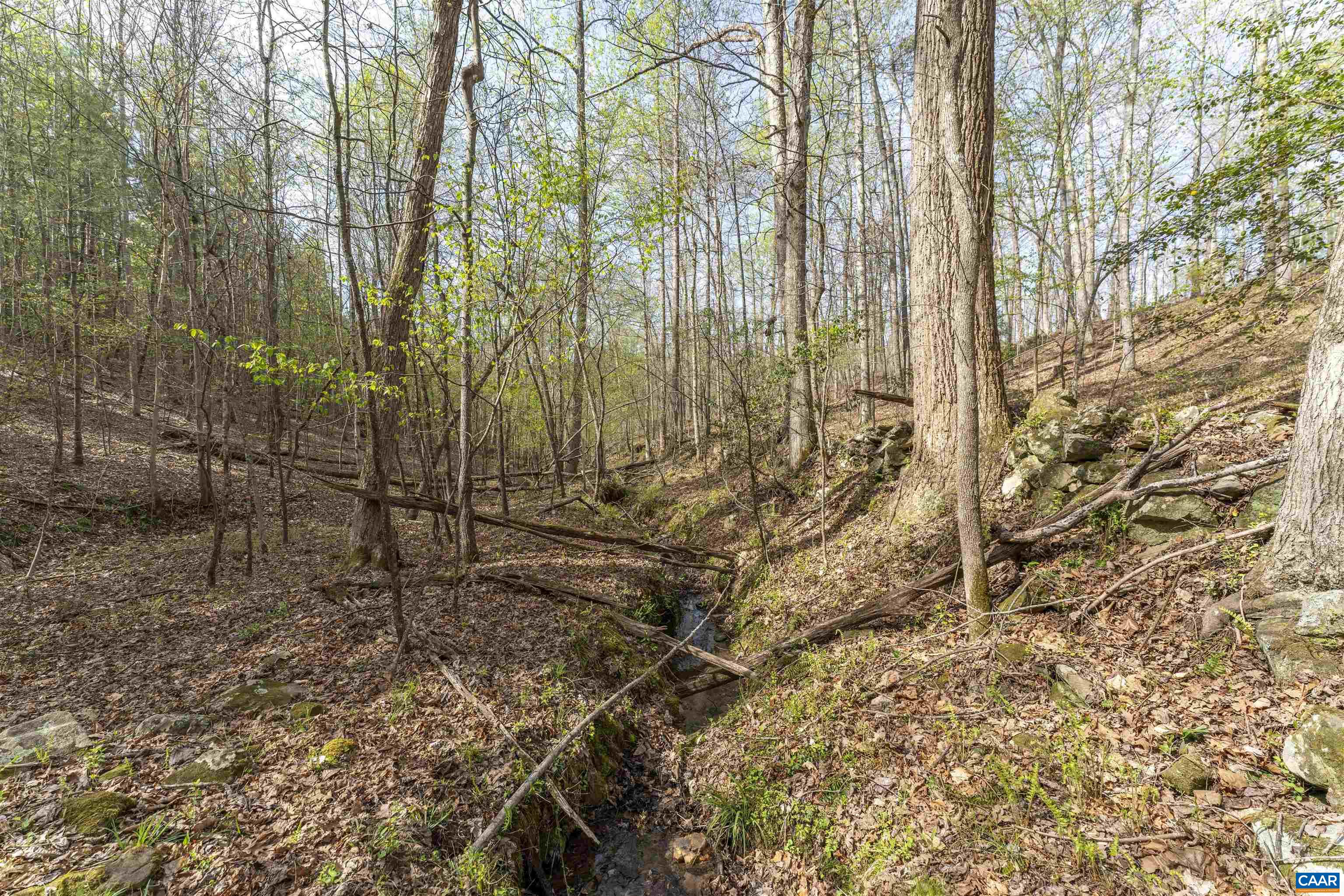TBD BLACK HILL RD