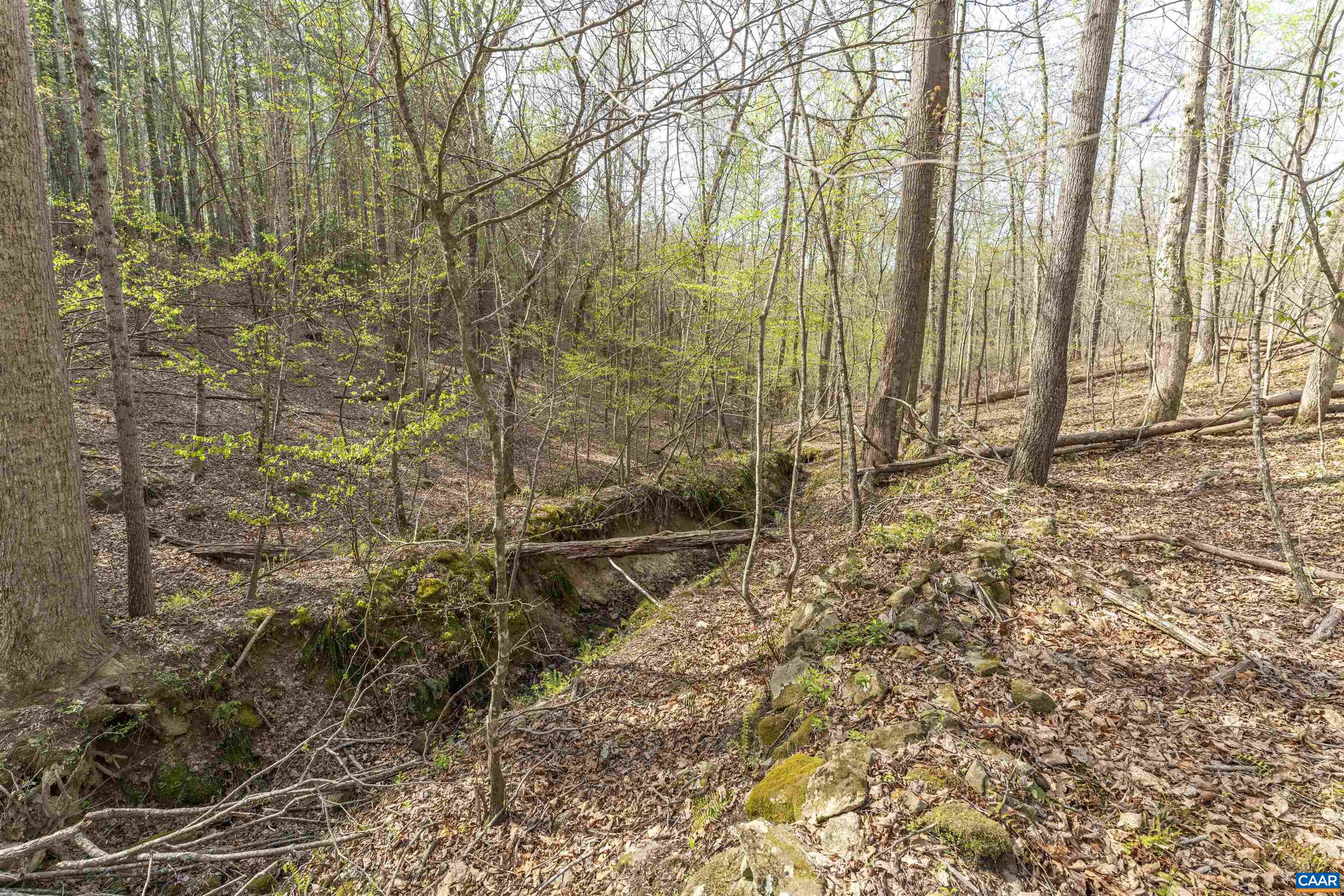 TBD BLACK HILL RD