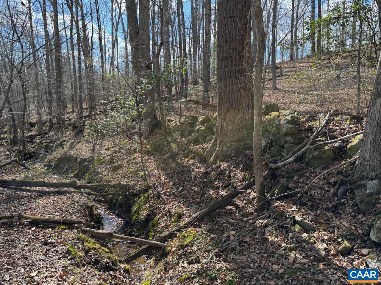 TBD BLACK HILL RD