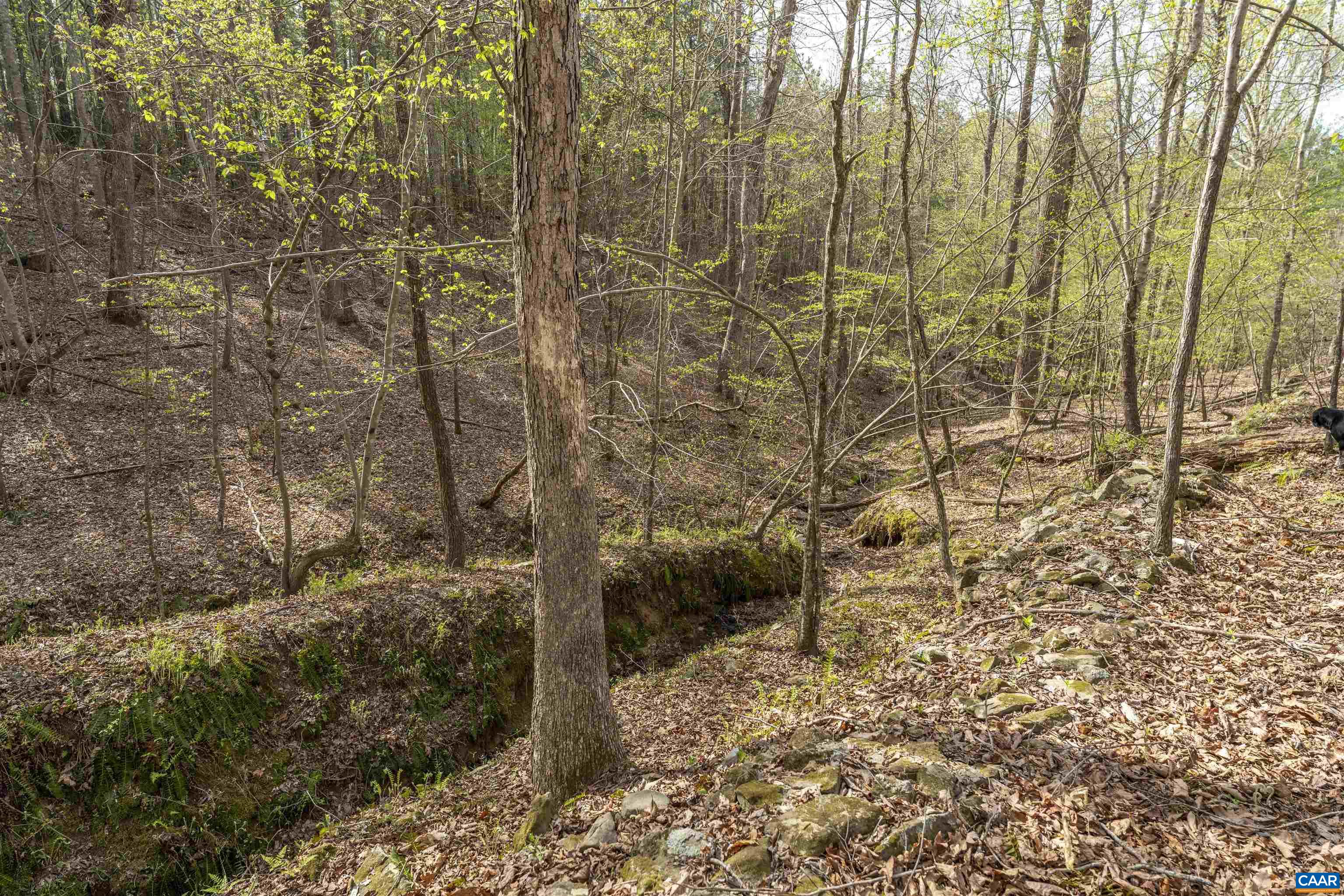 TBD BLACK HILL RD
