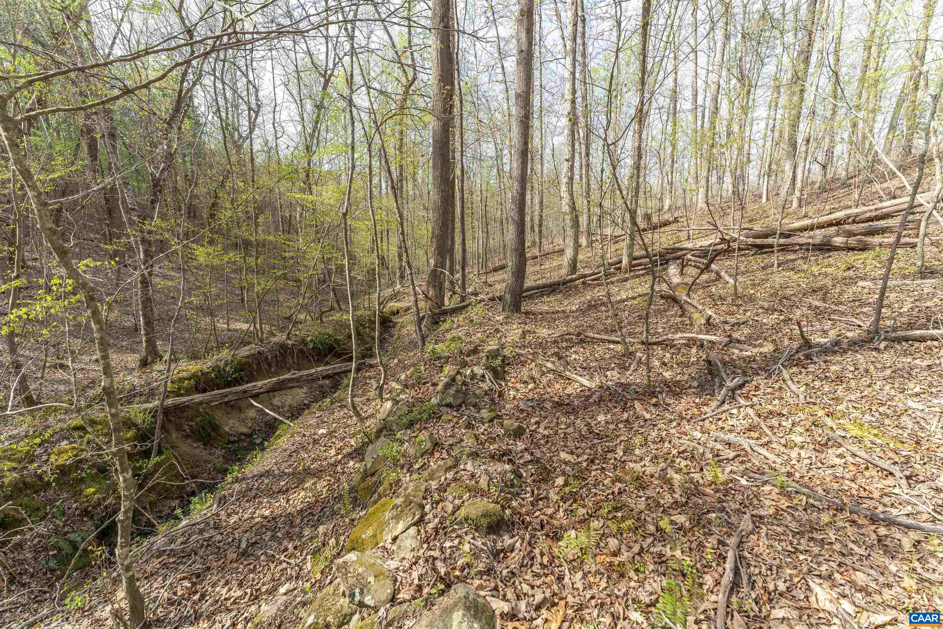 TBD BLACK HILL RD
