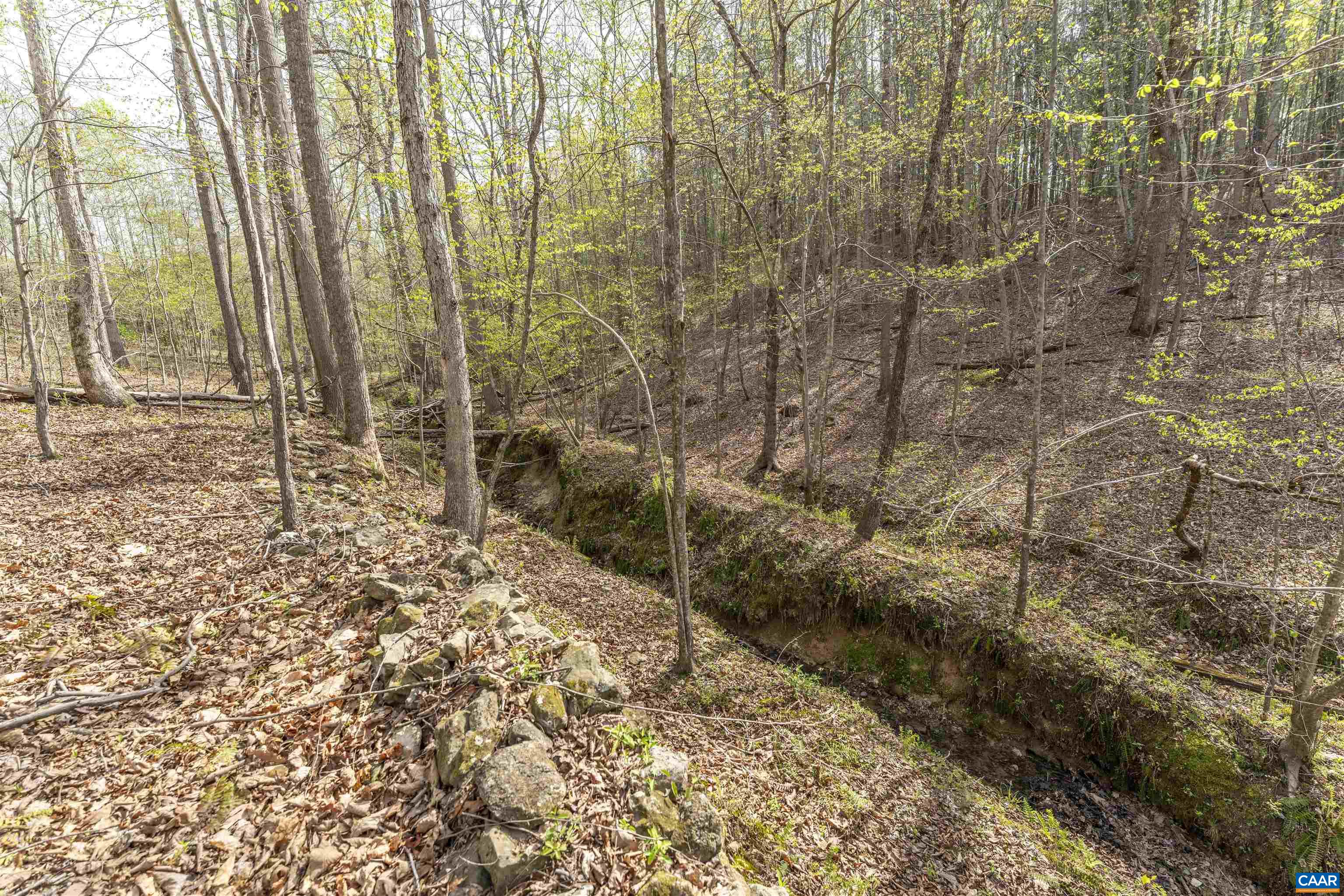 TBD BLACK HILL RD