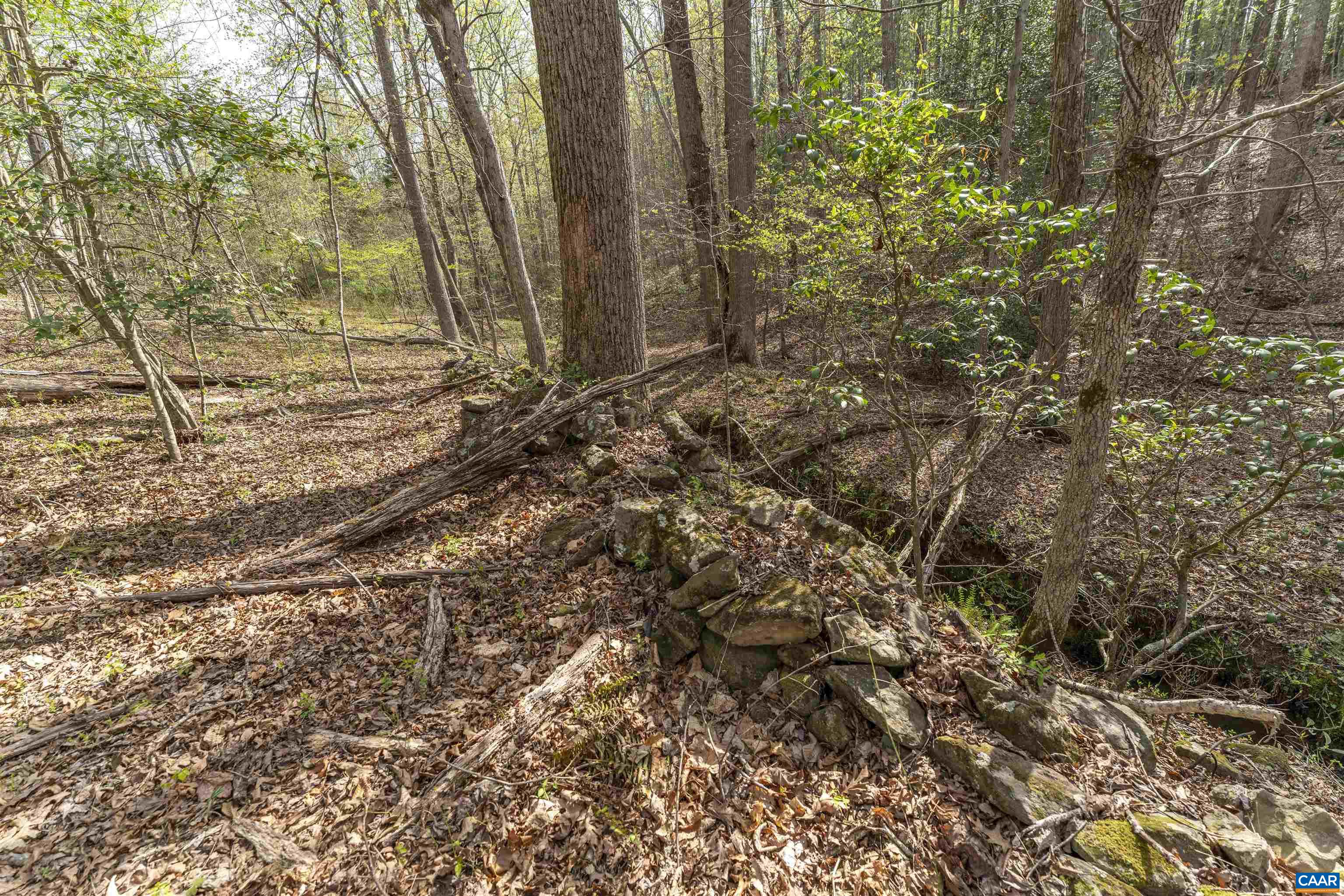 TBD BLACK HILL RD