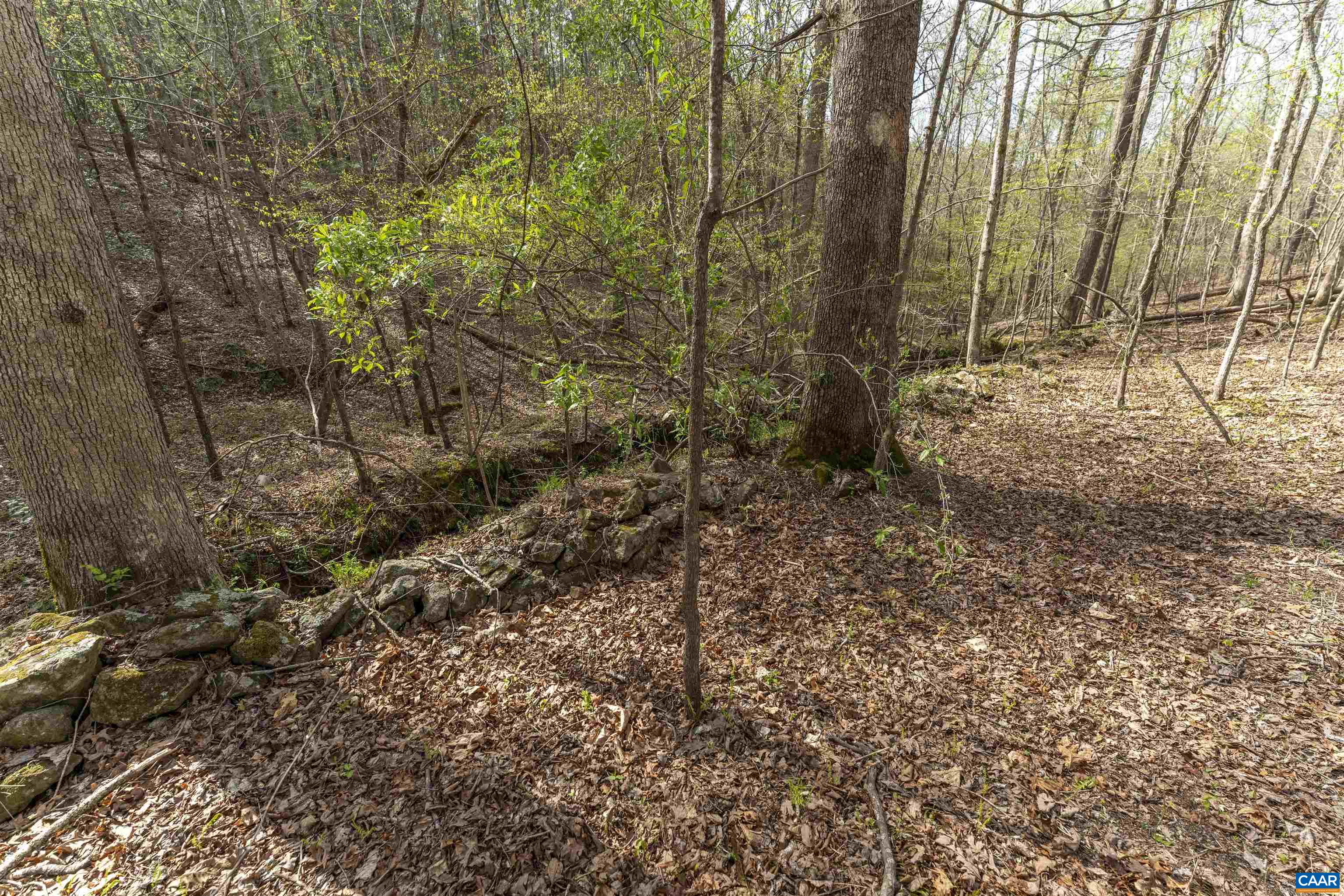 TBD BLACK HILL RD