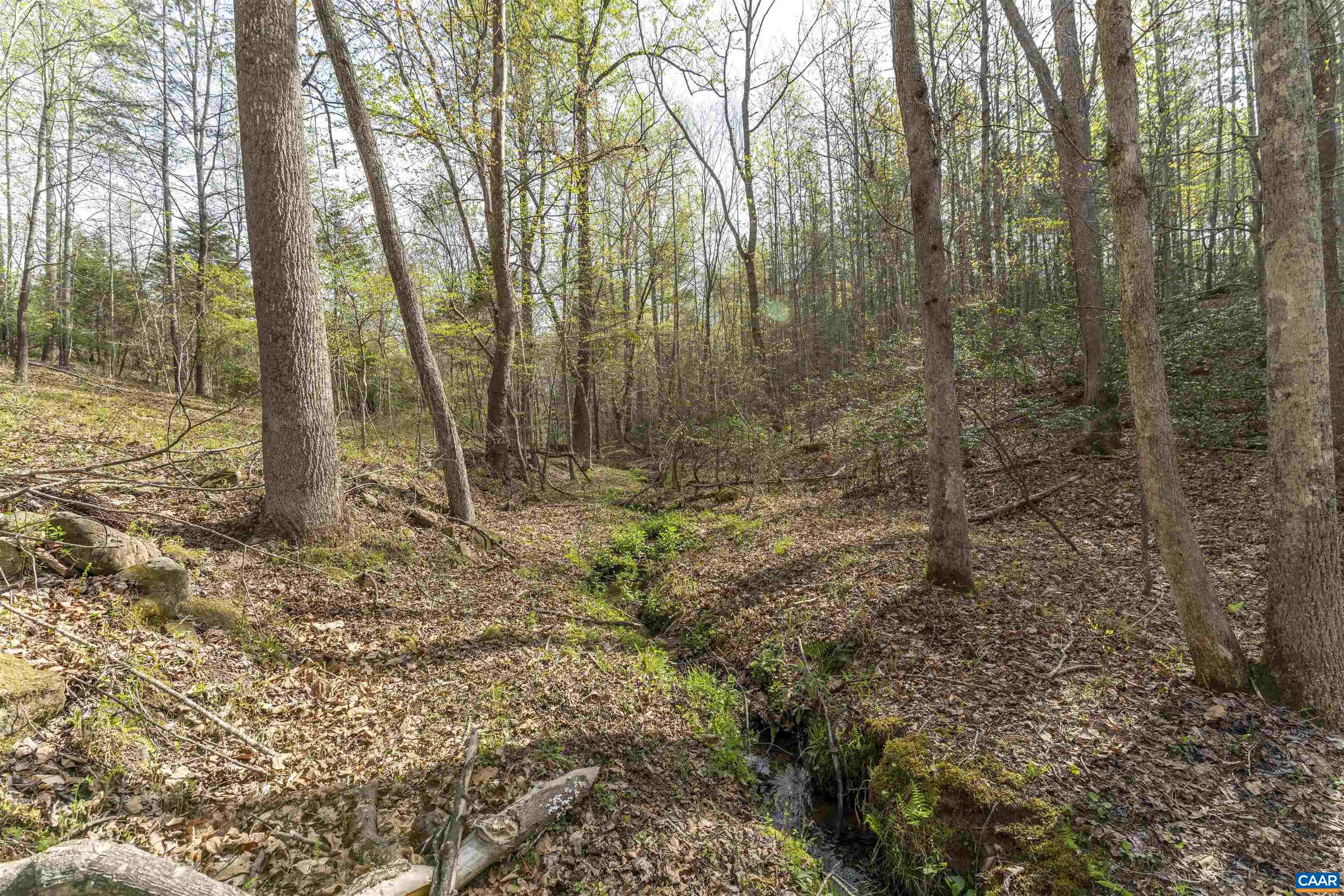 TBD BLACK HILL RD