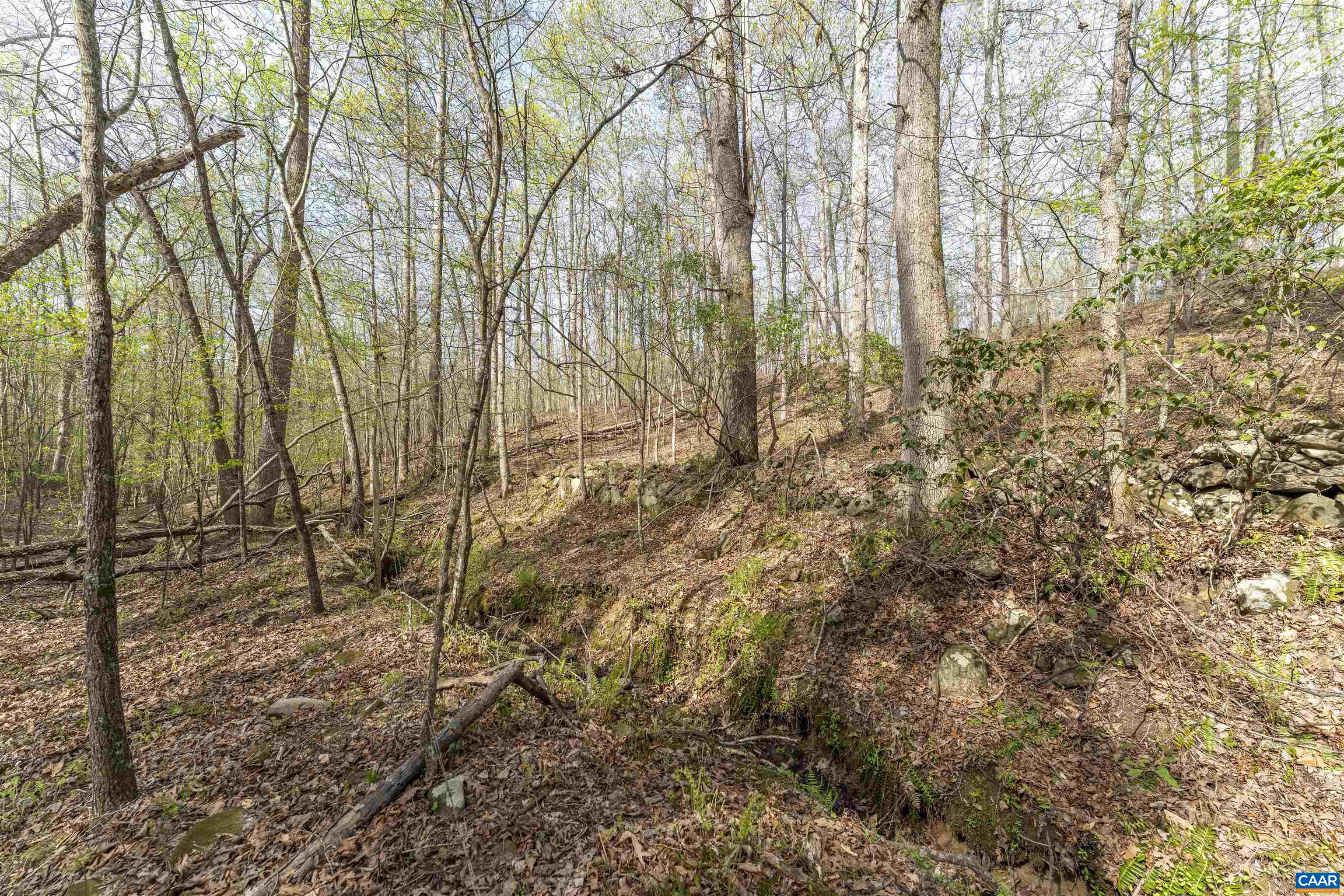 TBD BLACK HILL RD