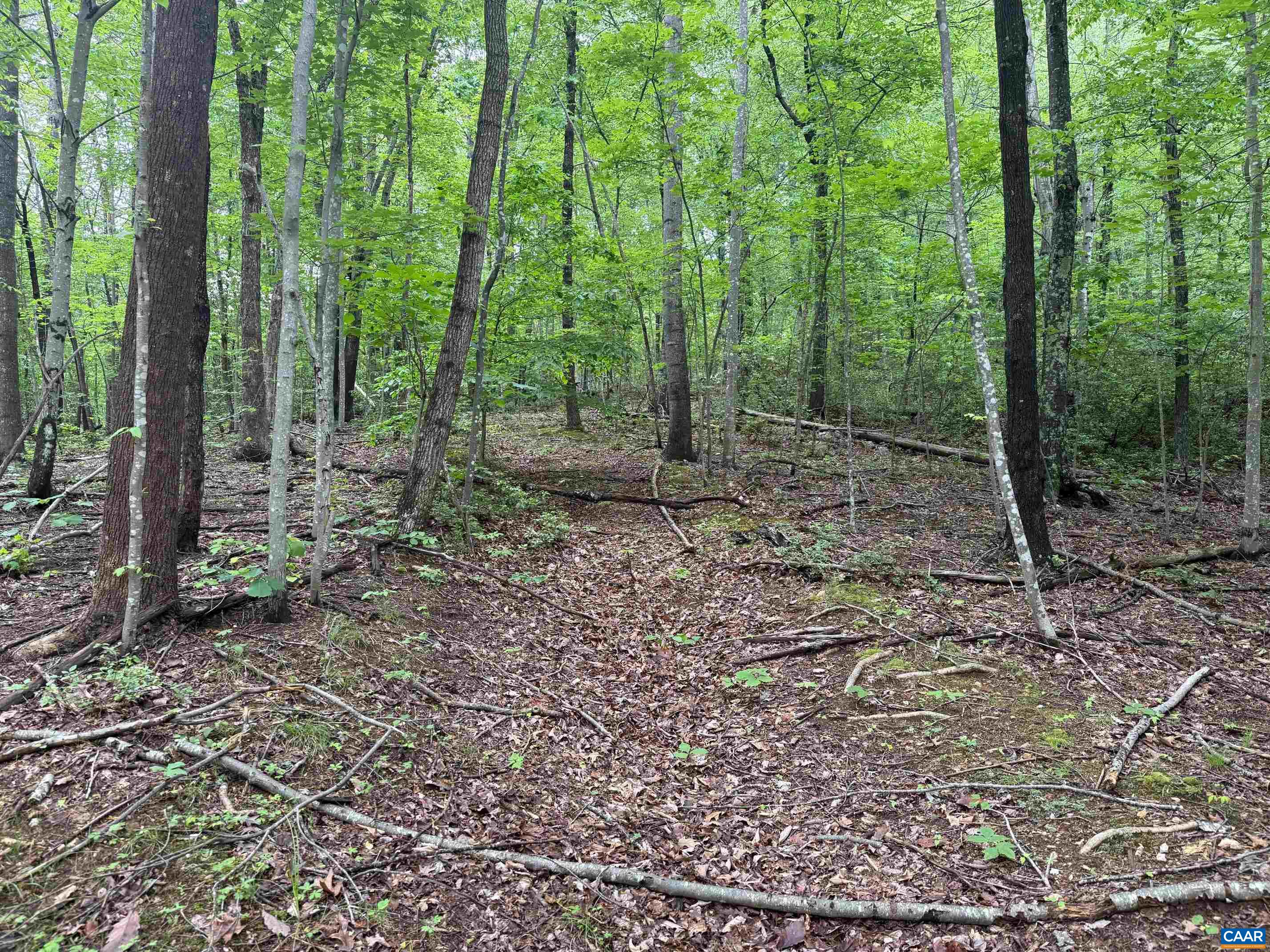 TBD RABBIT VALLEY RD