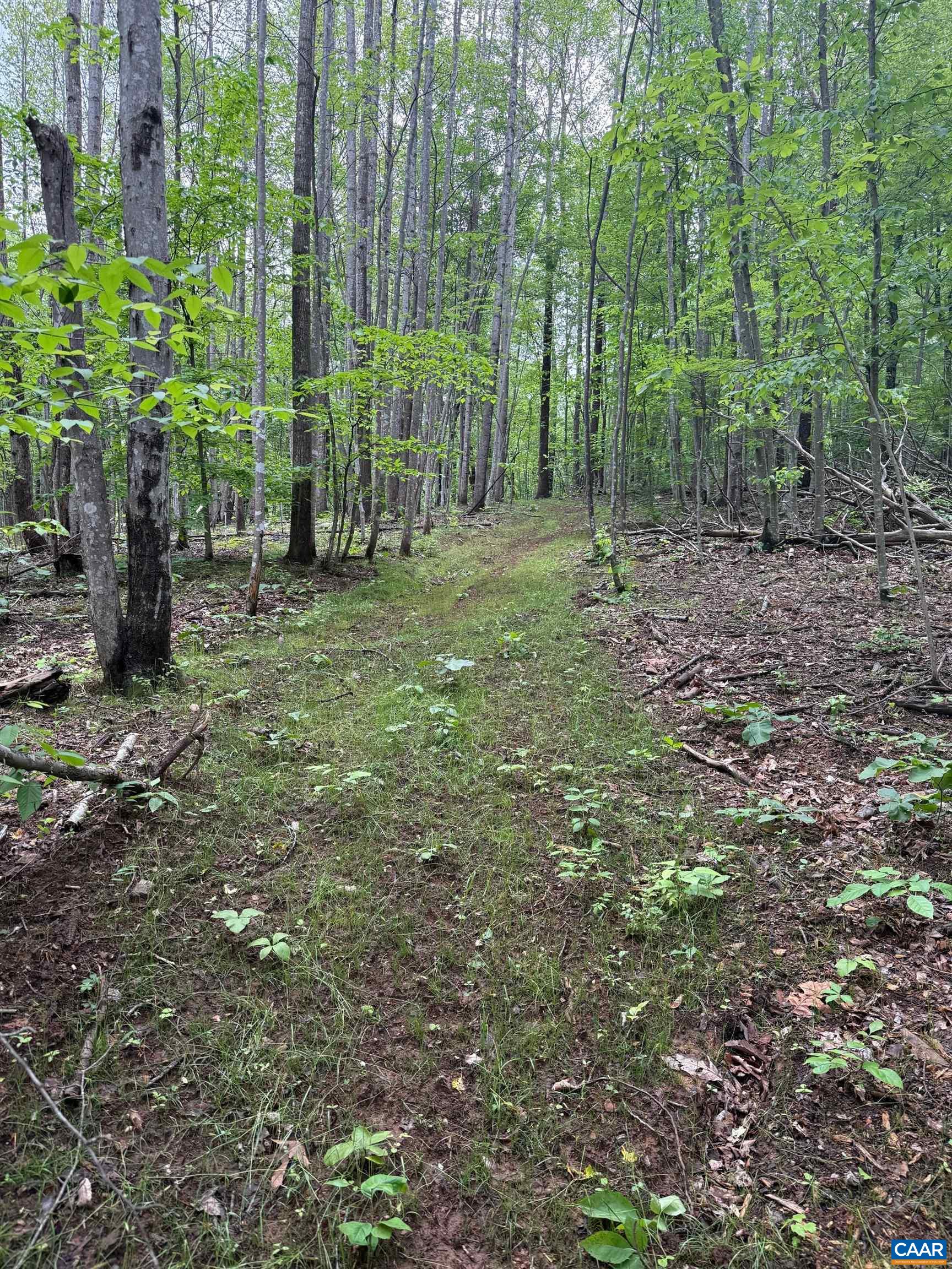 TBD RABBIT VALLEY RD