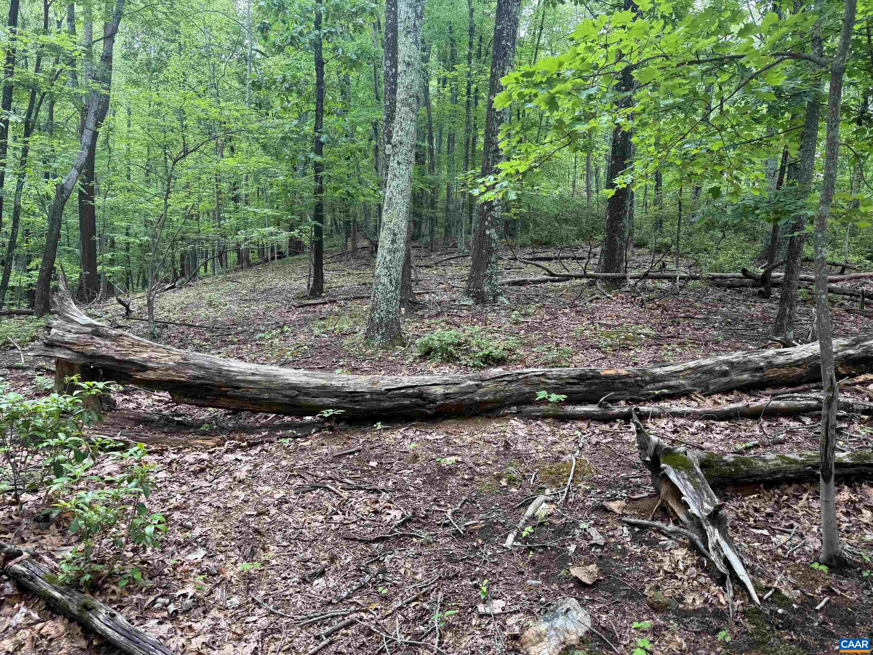 TBD RABBIT VALLEY RD