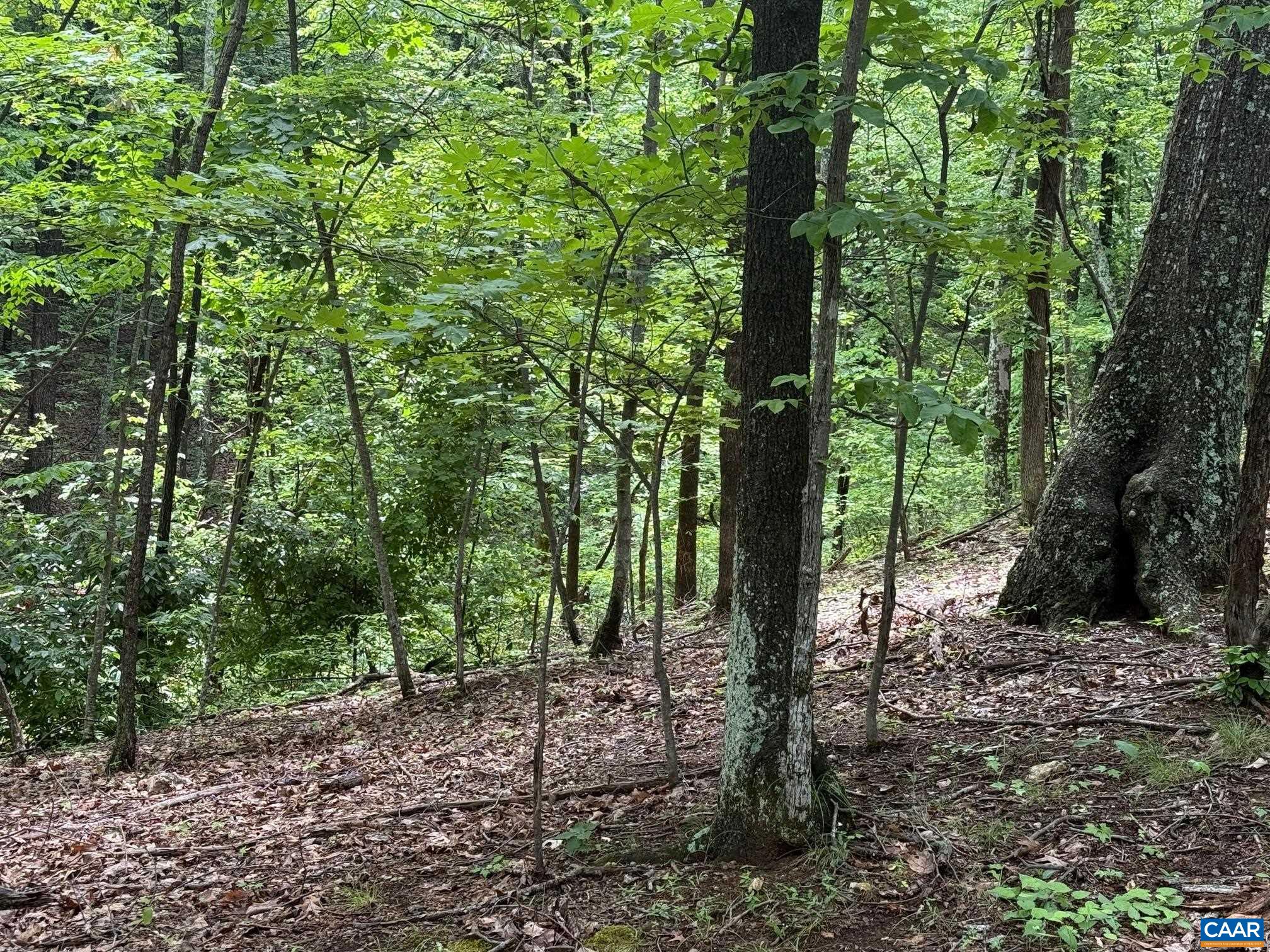 TBD RABBIT VALLEY RD