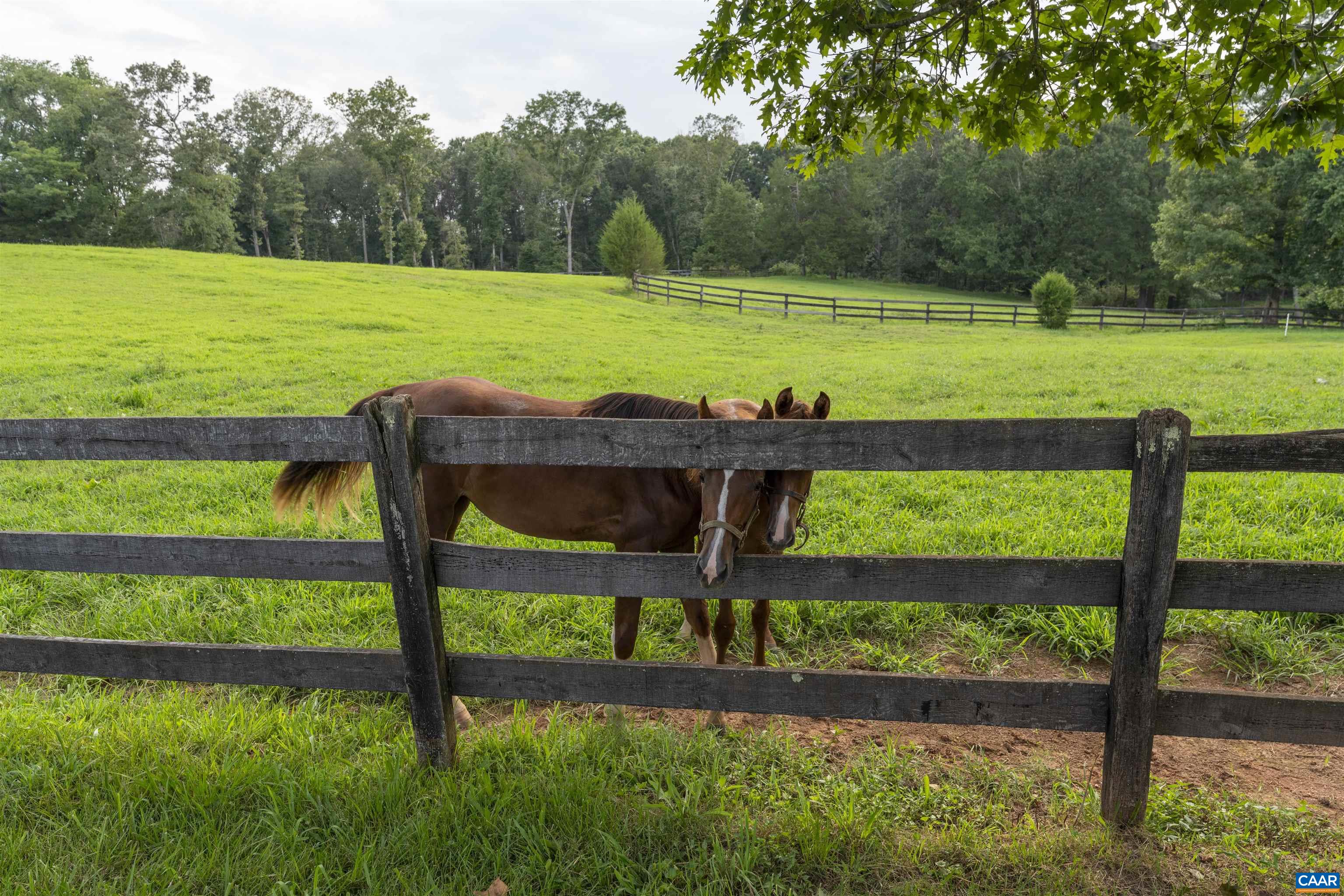 1342 JAMES MADISON HWY